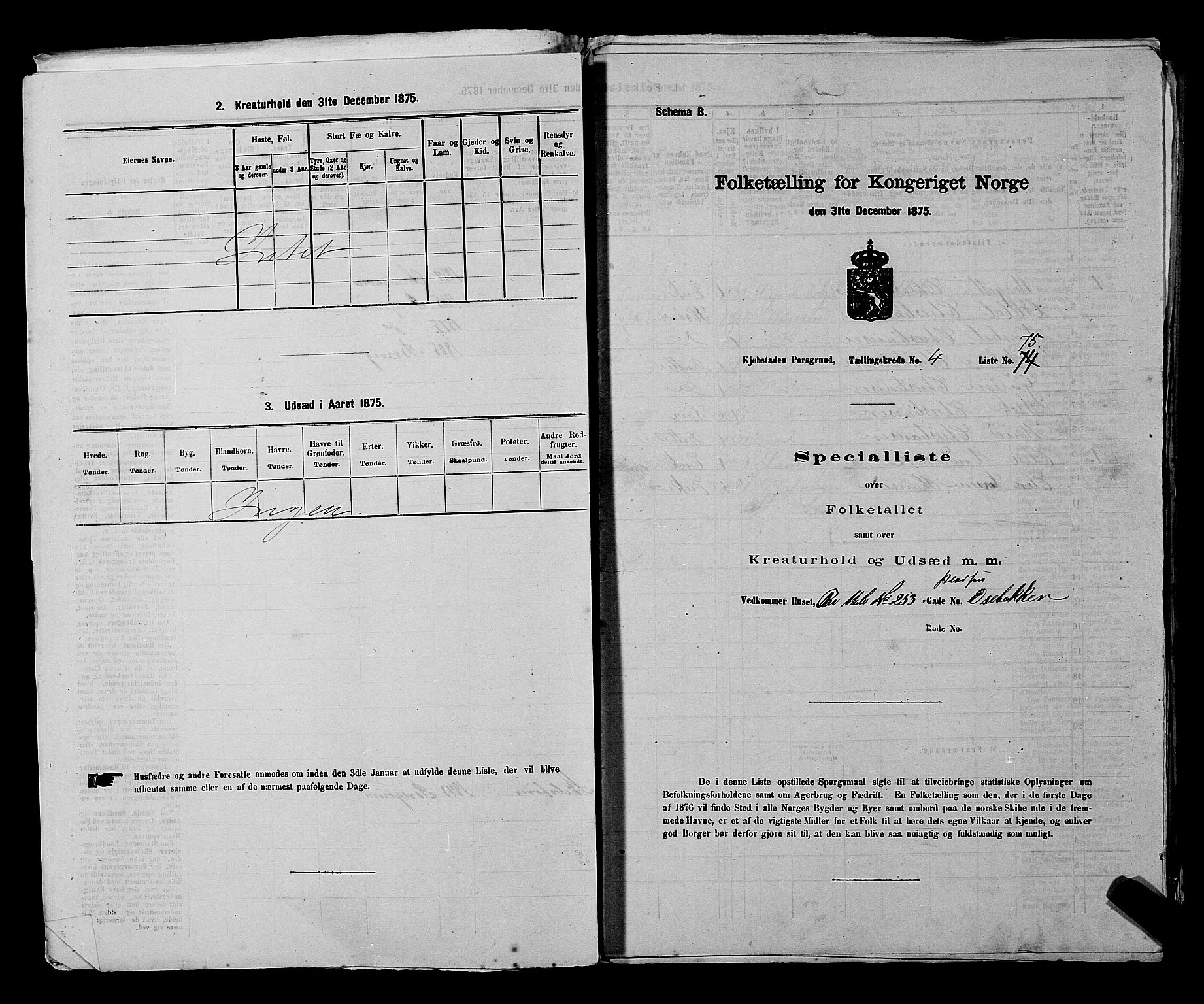 SAKO, 1875 census for 0805P Porsgrunn, 1875, p. 190