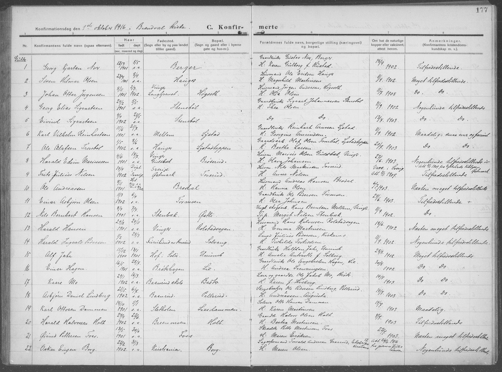 Brandval prestekontor, SAH/PREST-034/H/Ha/Haa/L0004: Parish register (official) no. 4, 1910-1924, p. 177