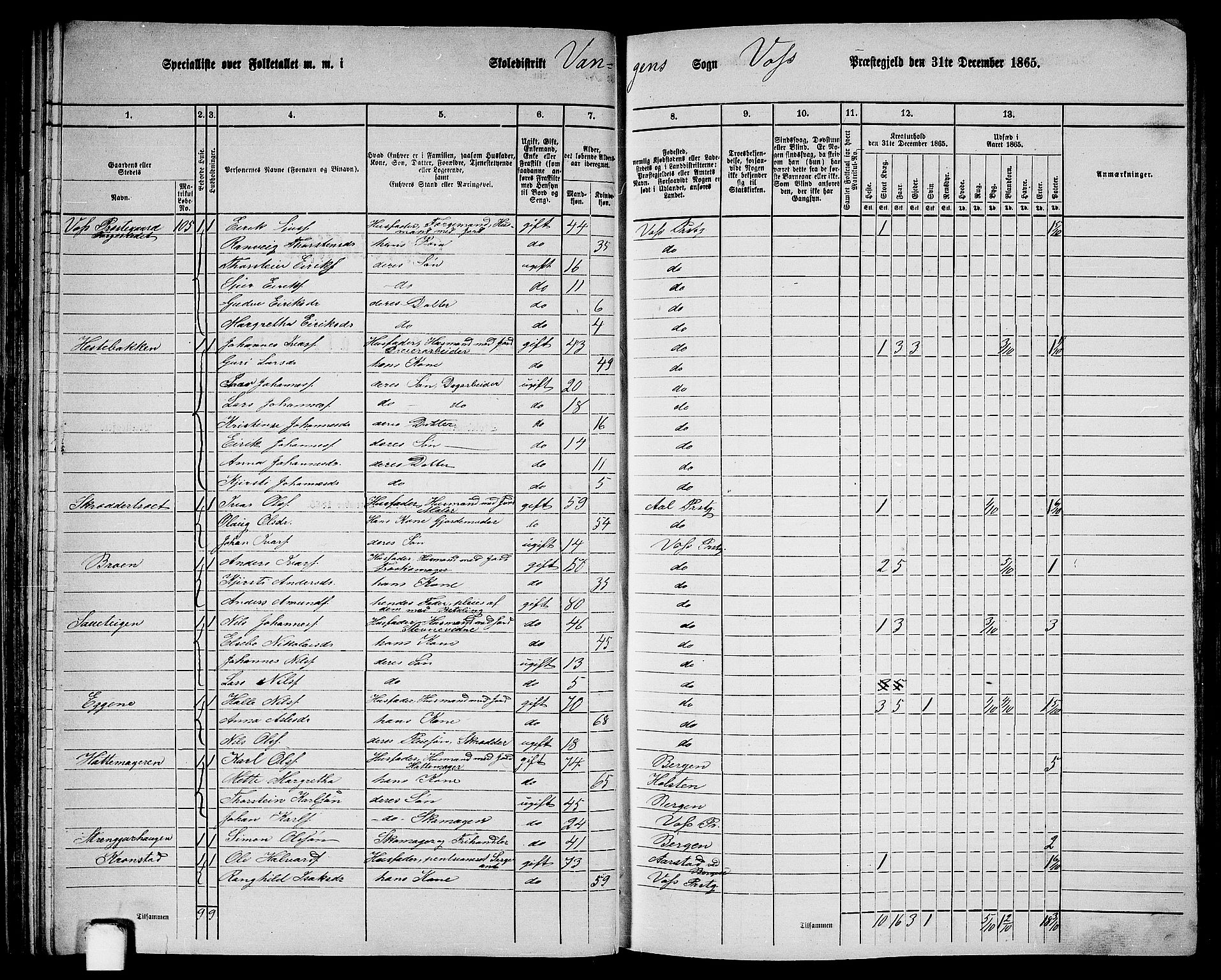 RA, 1865 census for Voss, 1865, p. 57
