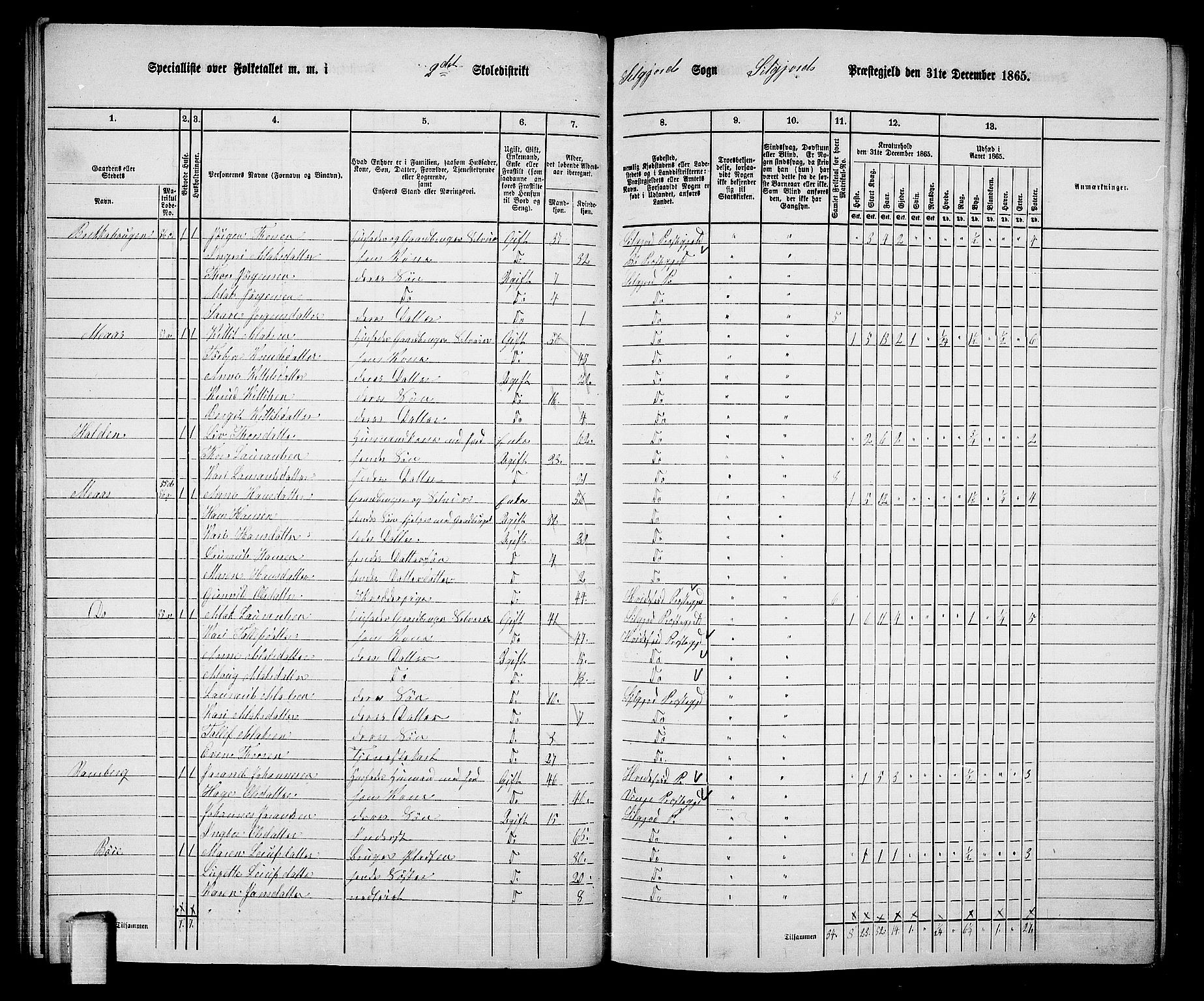 RA, 1865 census for Seljord, 1865, p. 35