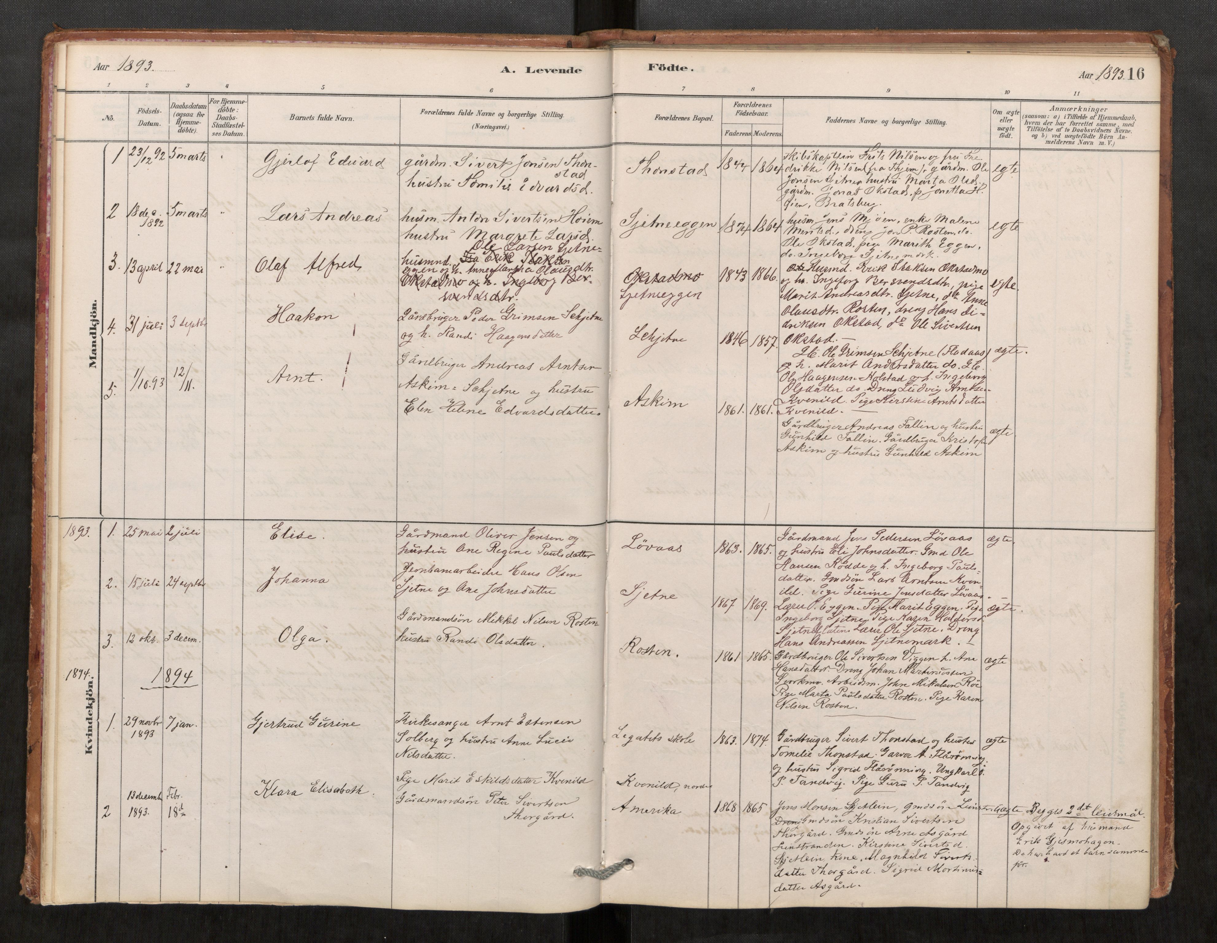Klæbu sokneprestkontor, SAT/A-1112: Parish register (official) no. 1, 1880-1900, p. 16