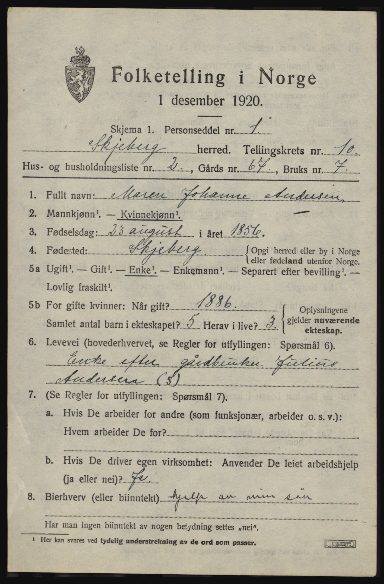 SAO, 1920 census for Skjeberg, 1920, p. 9089