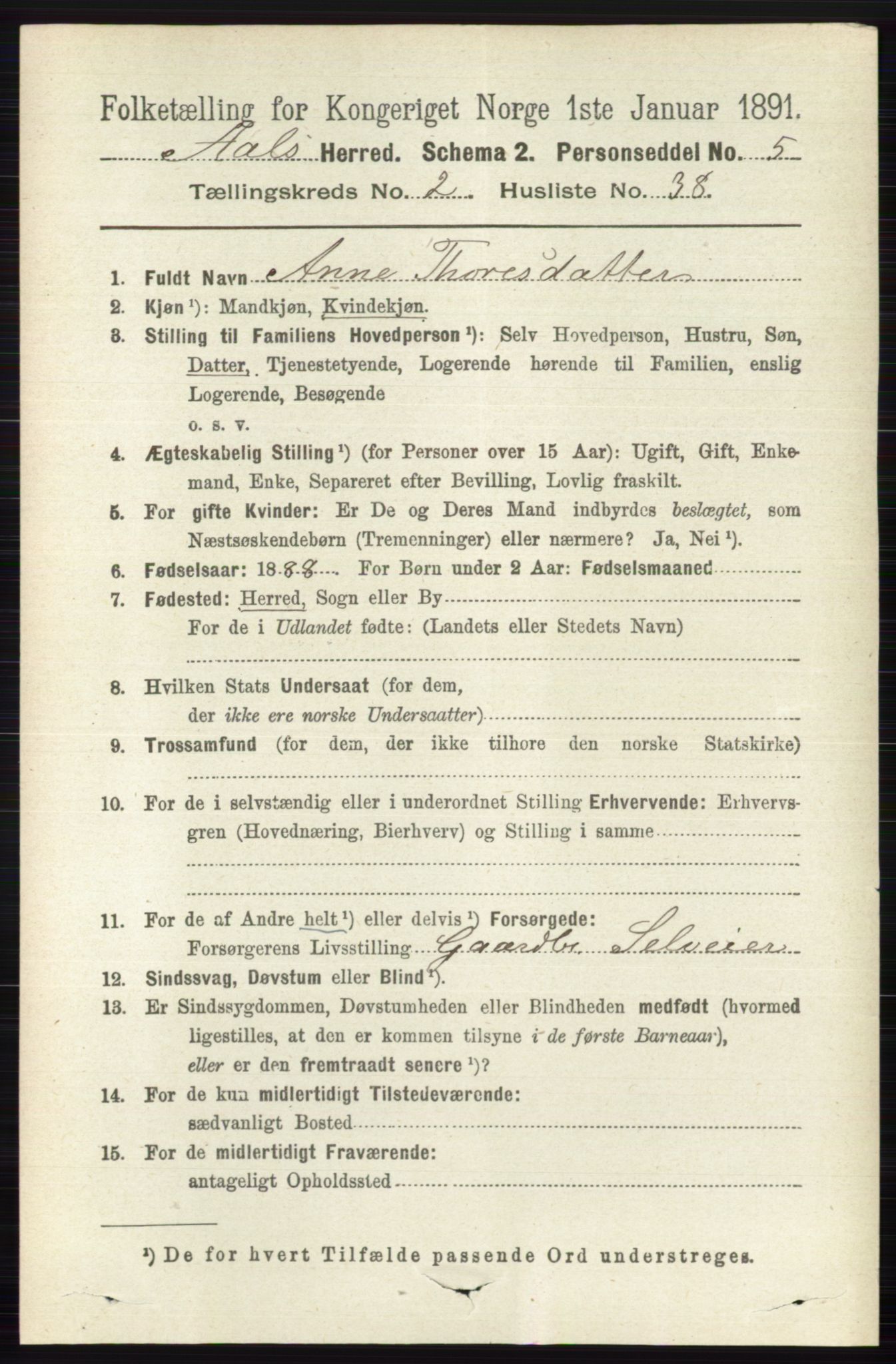 RA, 1891 census for 0619 Ål, 1891, p. 590