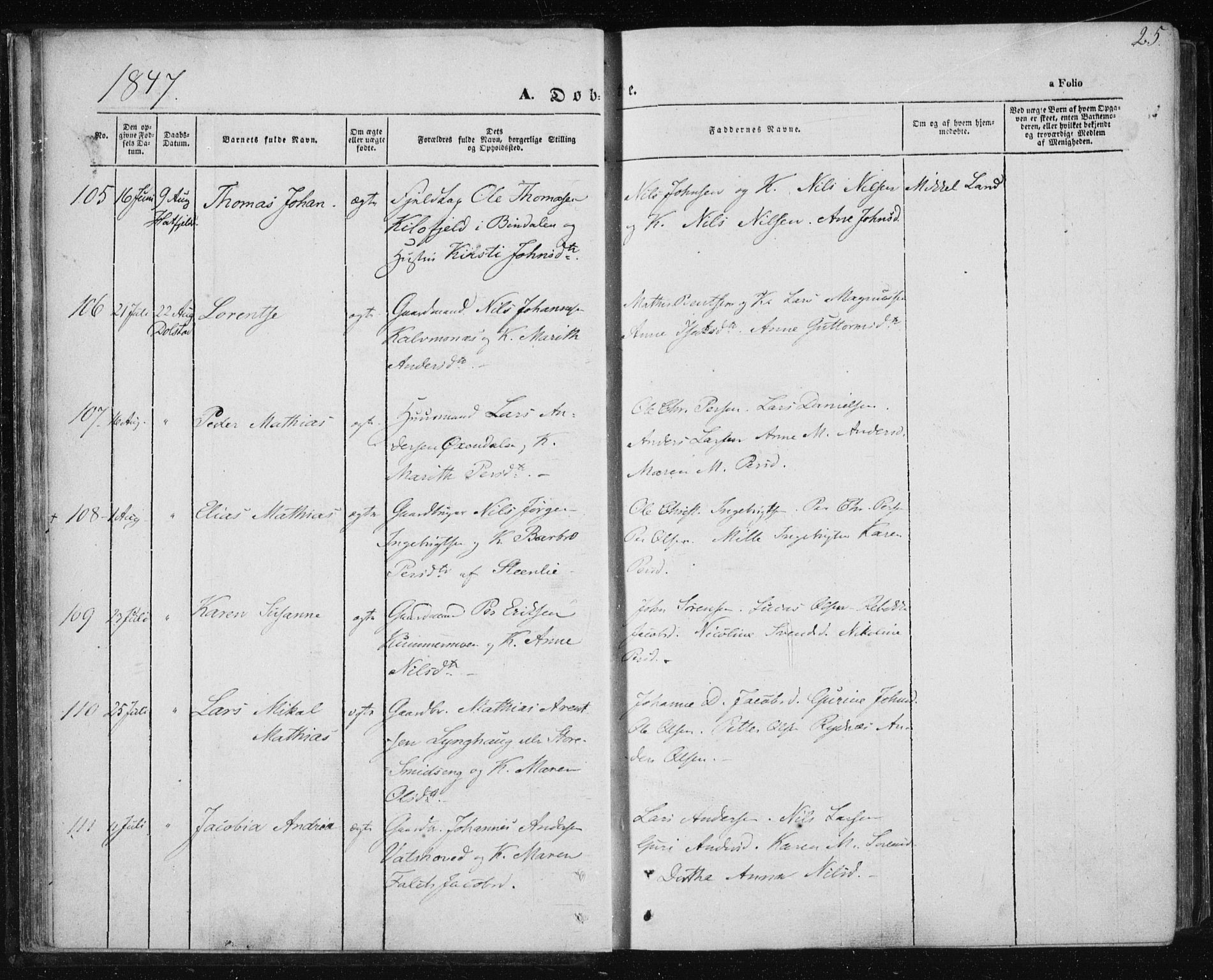 Ministerialprotokoller, klokkerbøker og fødselsregistre - Nordland, AV/SAT-A-1459/820/L0291: Parish register (official) no. 820A12, 1846-1854, p. 25