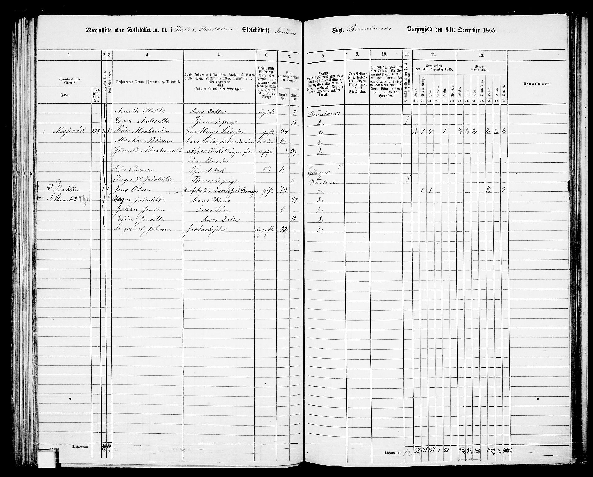 RA, 1865 census for Brunlanes, 1865, p. 104