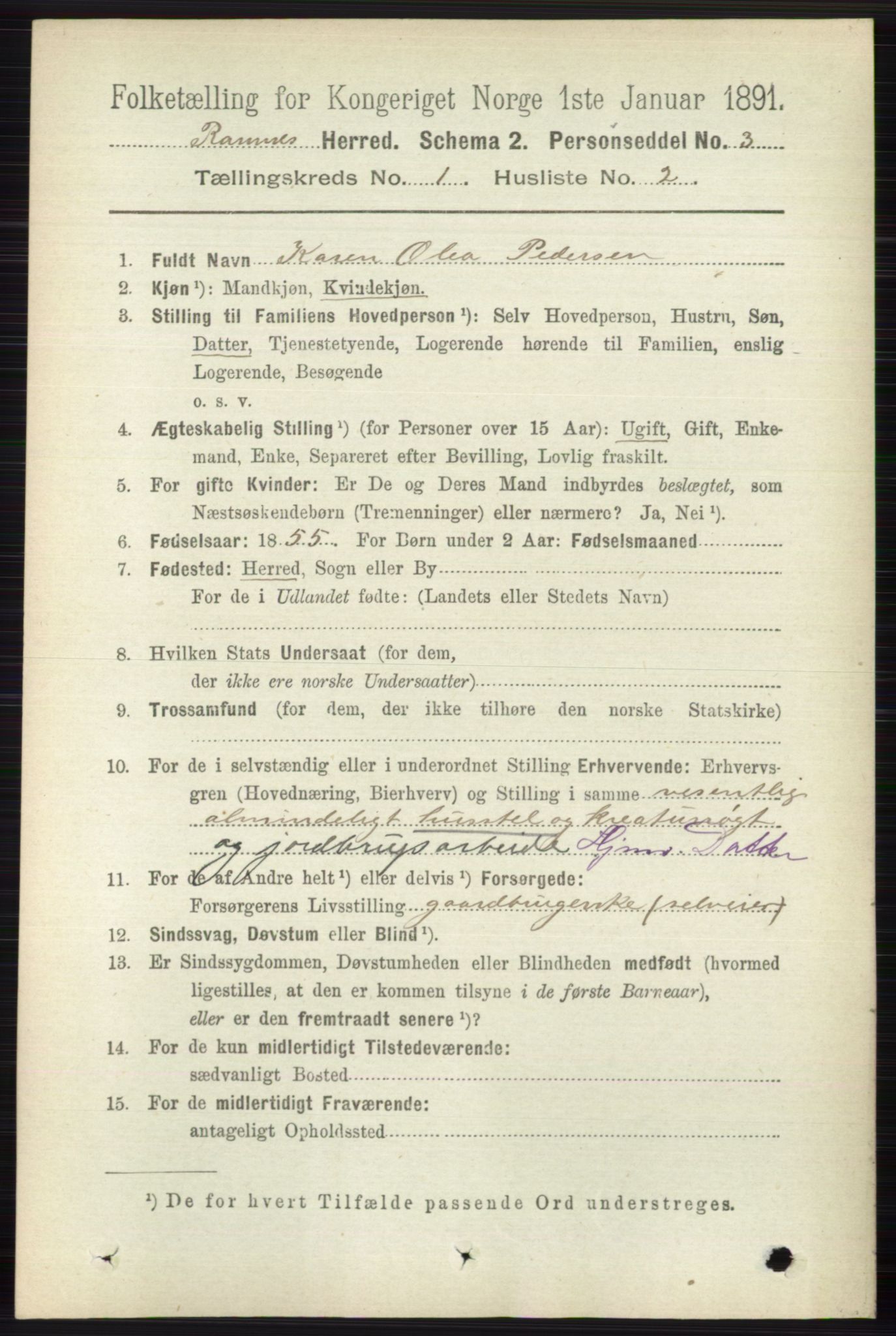 RA, 1891 census for 0718 Ramnes, 1891, p. 109