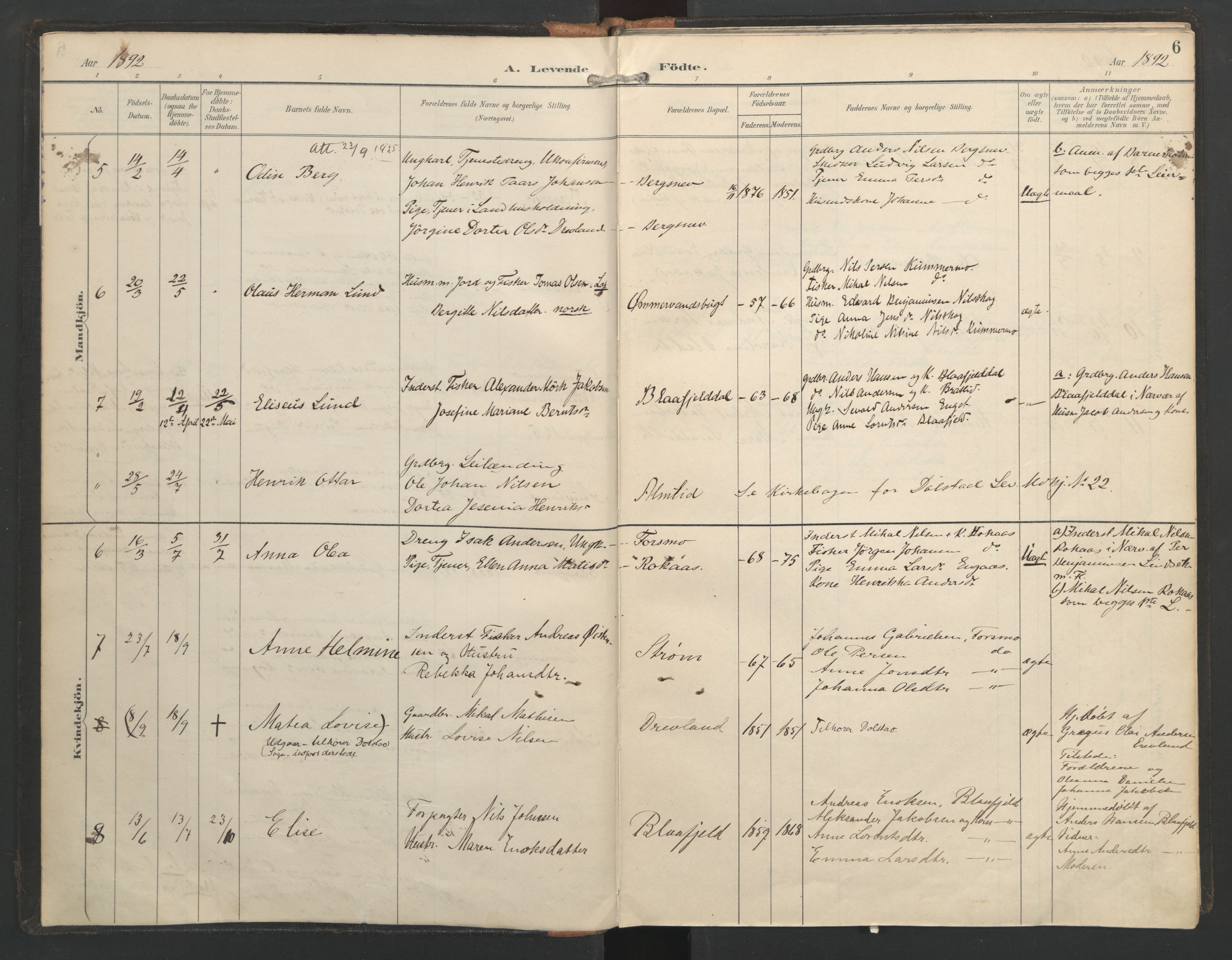 Ministerialprotokoller, klokkerbøker og fødselsregistre - Nordland, SAT/A-1459/821/L0317: Parish register (official) no. 821A01, 1892-1907, p. 6