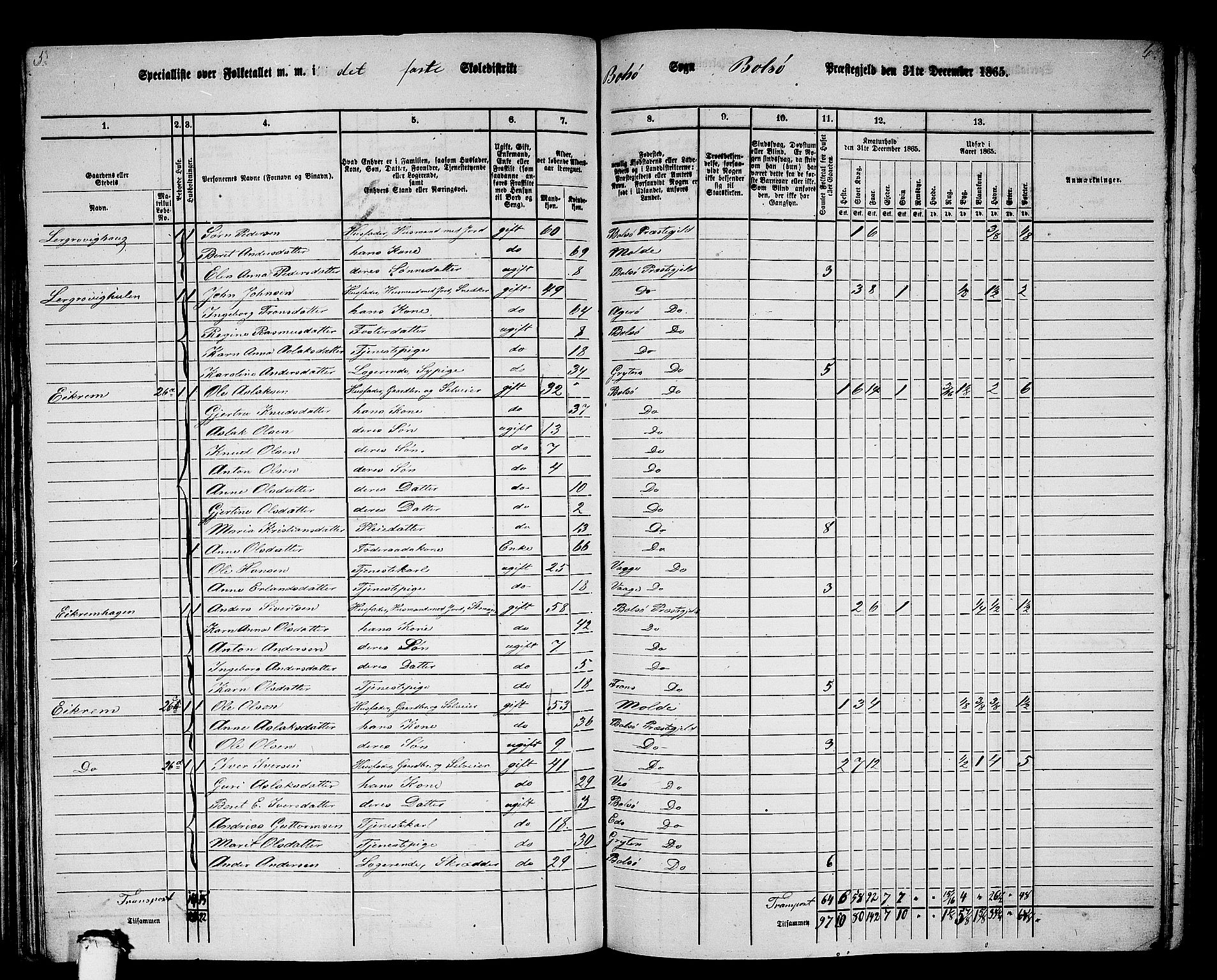 RA, 1865 census for Bolsøy, 1865, p. 35