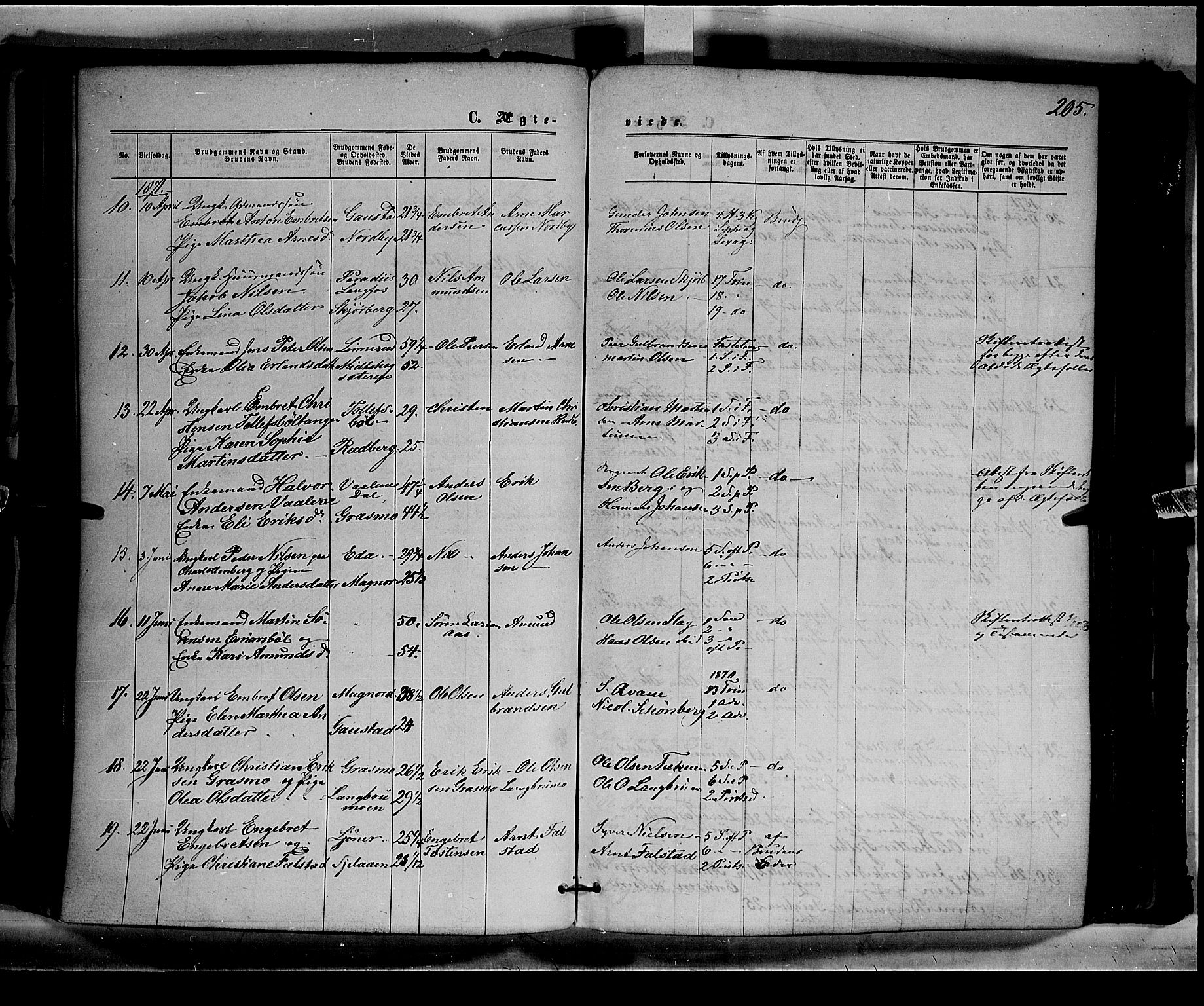 Eidskog prestekontor, AV/SAH-PREST-026/H/Ha/Haa/L0002: Parish register (official) no. 2, 1867-1878, p. 205