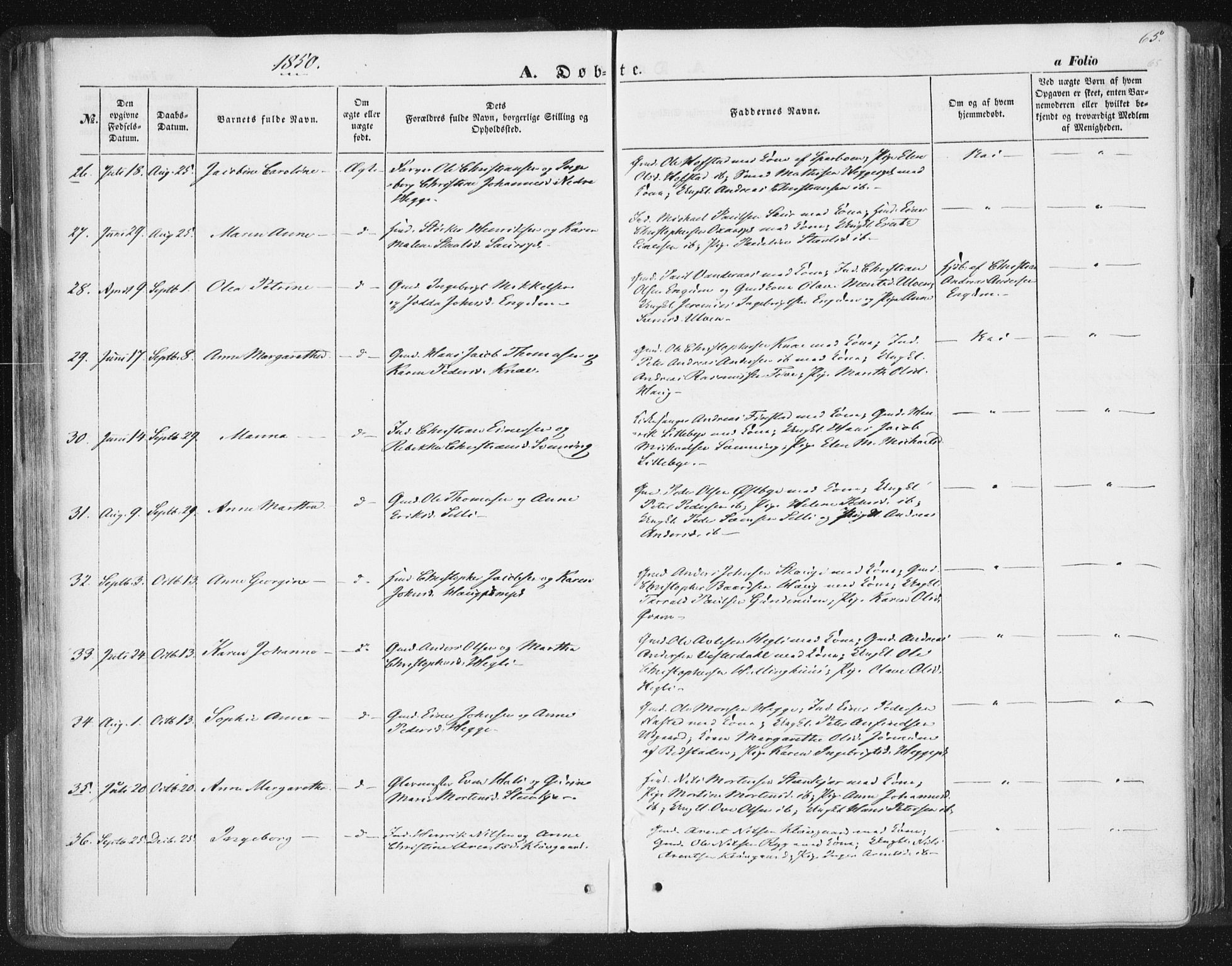Ministerialprotokoller, klokkerbøker og fødselsregistre - Nord-Trøndelag, SAT/A-1458/746/L0446: Parish register (official) no. 746A05, 1846-1859, p. 65