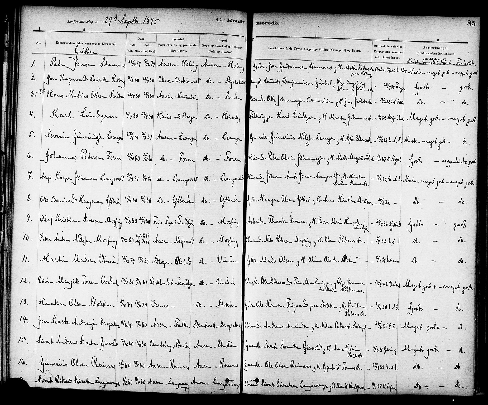 Ministerialprotokoller, klokkerbøker og fødselsregistre - Nord-Trøndelag, AV/SAT-A-1458/714/L0130: Parish register (official) no. 714A01, 1878-1895, p. 85