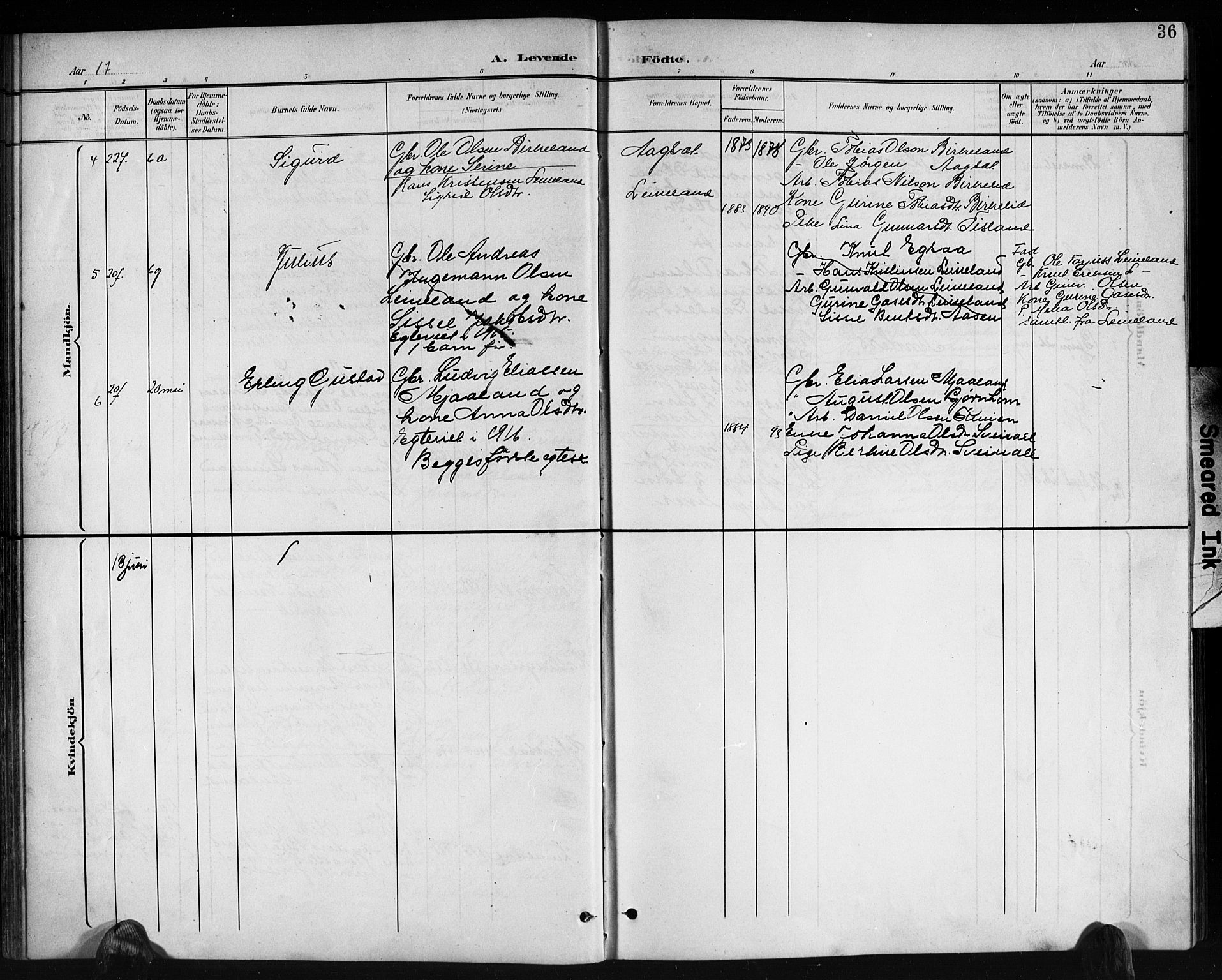 Holum sokneprestkontor, AV/SAK-1111-0022/F/Fb/Fbb/L0004: Parish register (copy) no. B 4, 1899-1920, p. 36