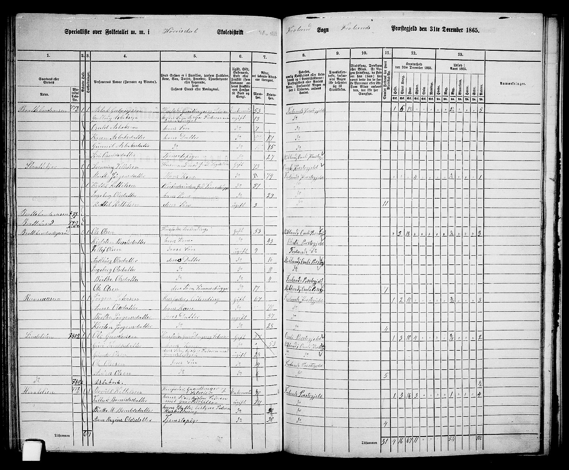 RA, 1865 census for Froland, 1865, p. 69