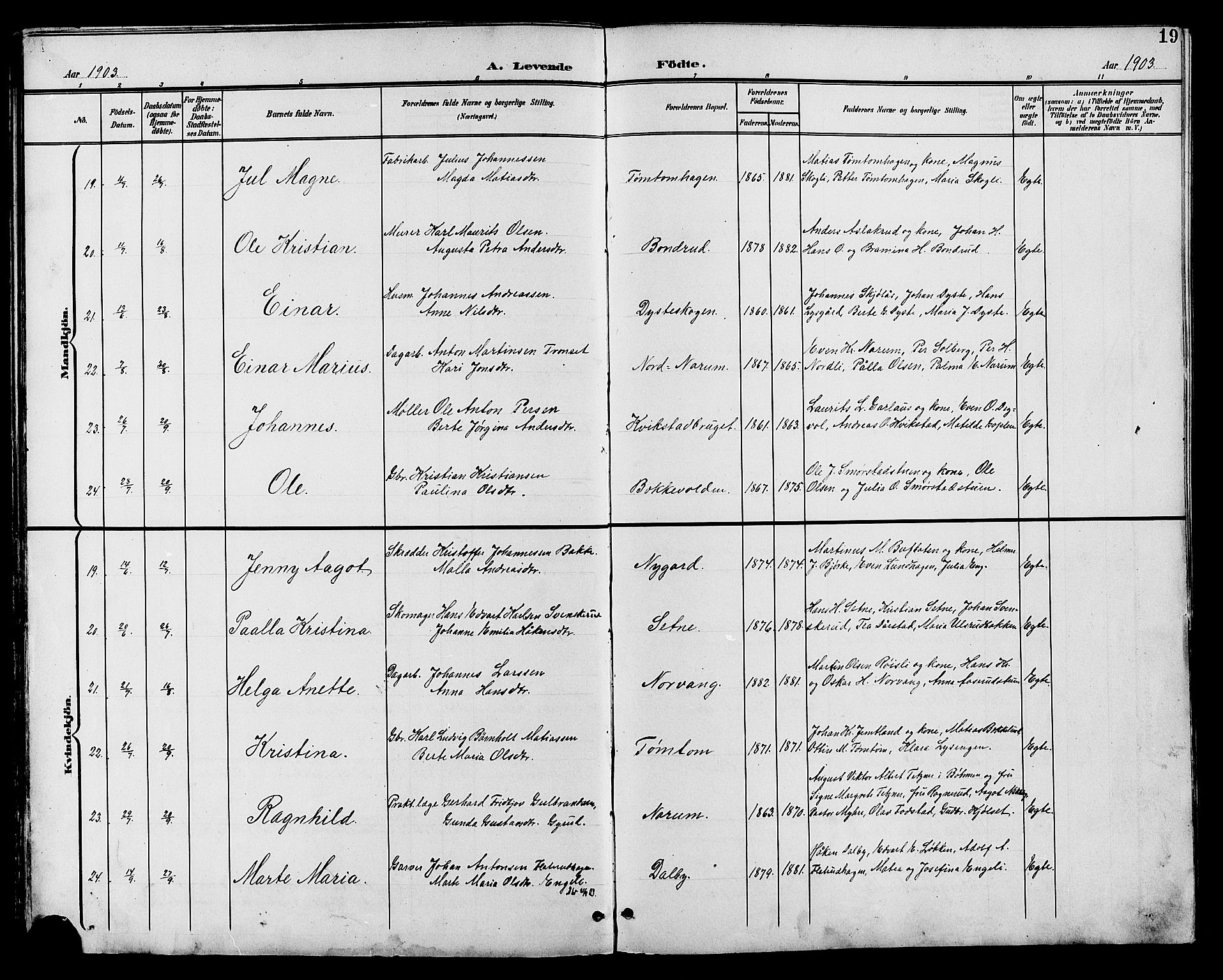 Vestre Toten prestekontor, AV/SAH-PREST-108/H/Ha/Hab/L0011: Parish register (copy) no. 11, 1901-1911, p. 19