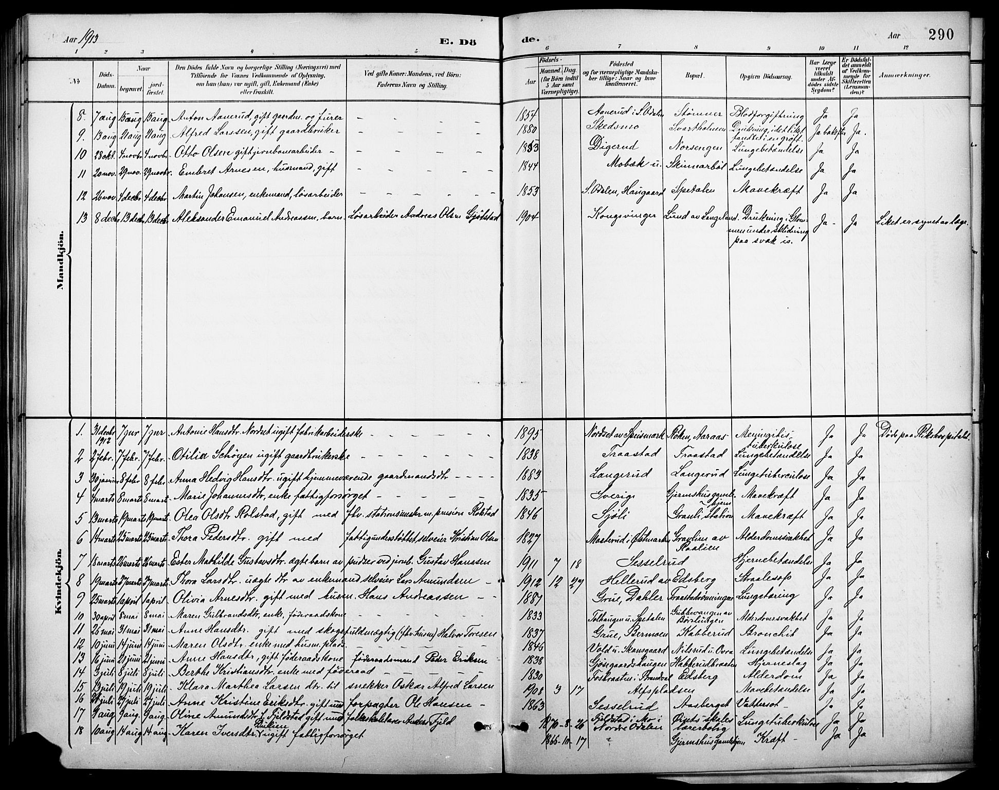 Vinger prestekontor, AV/SAH-PREST-024/H/Ha/Hab/L0003: Parish register (copy) no. 3, 1895-1920, p. 290