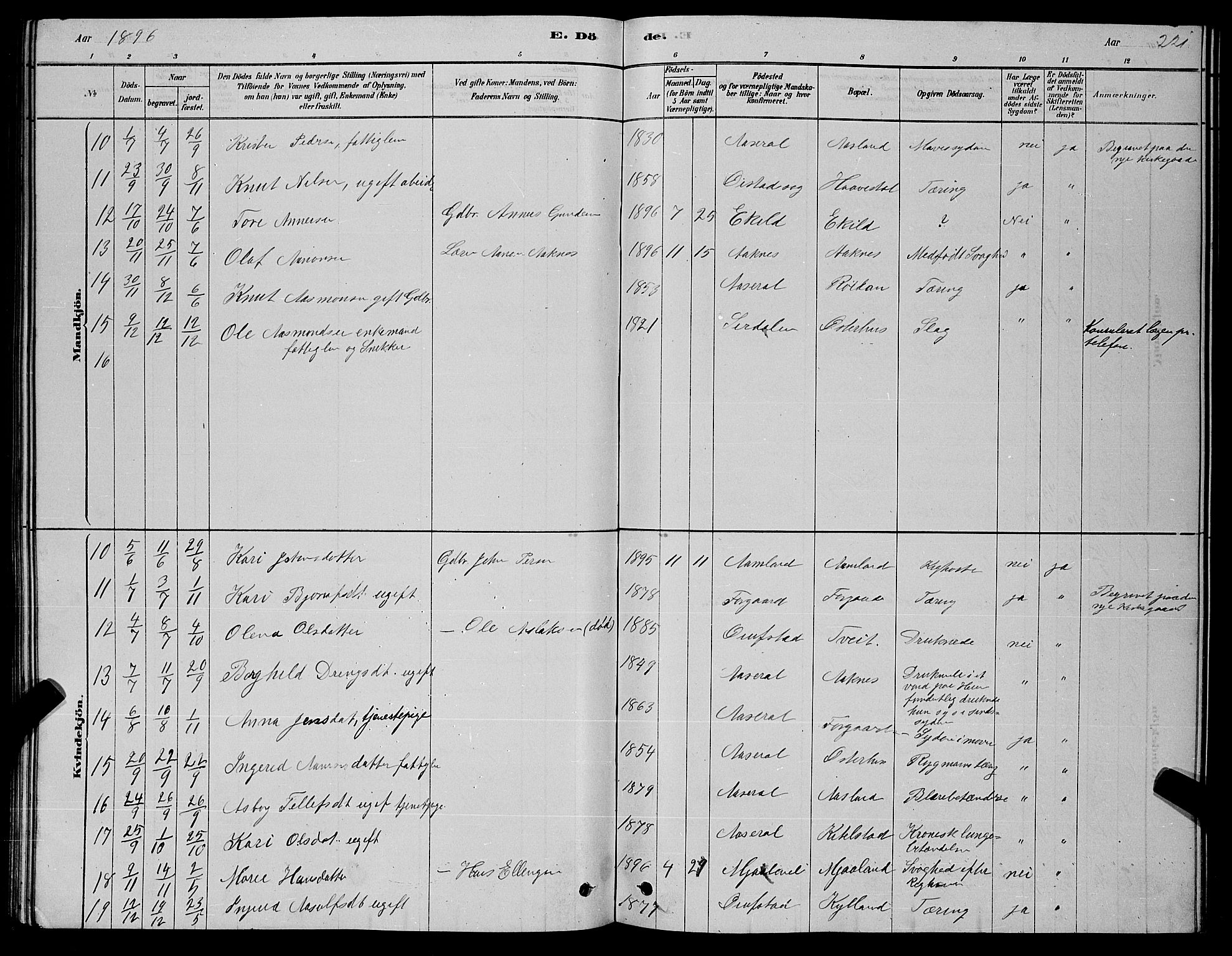 Åseral sokneprestkontor, AV/SAK-1111-0051/F/Fb/L0002: Parish register (copy) no. B 2, 1878-1899, p. 221