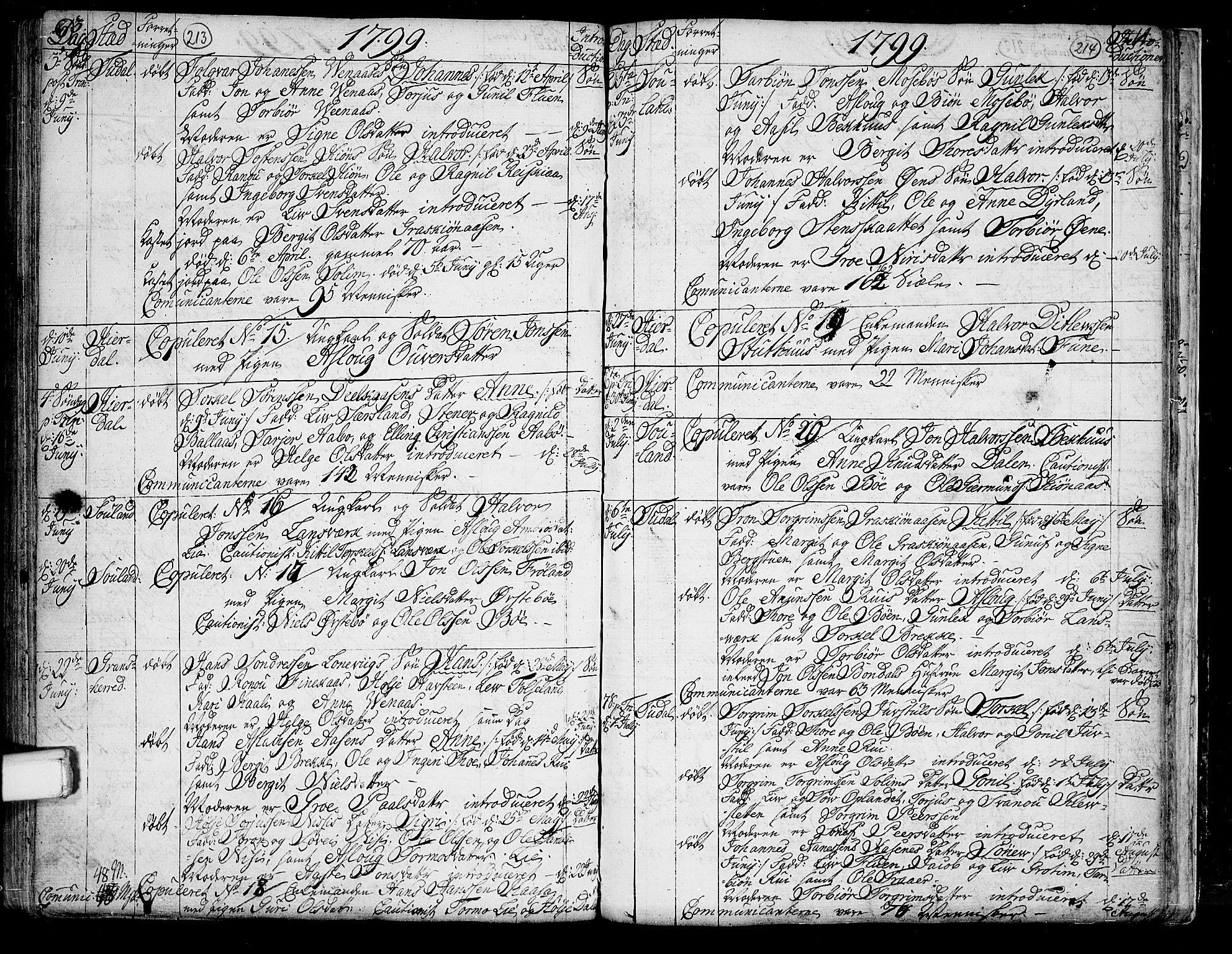 Hjartdal kirkebøker, SAKO/A-270/F/Fa/L0005: Parish register (official) no. I 5, 1776-1801, p. 213-214