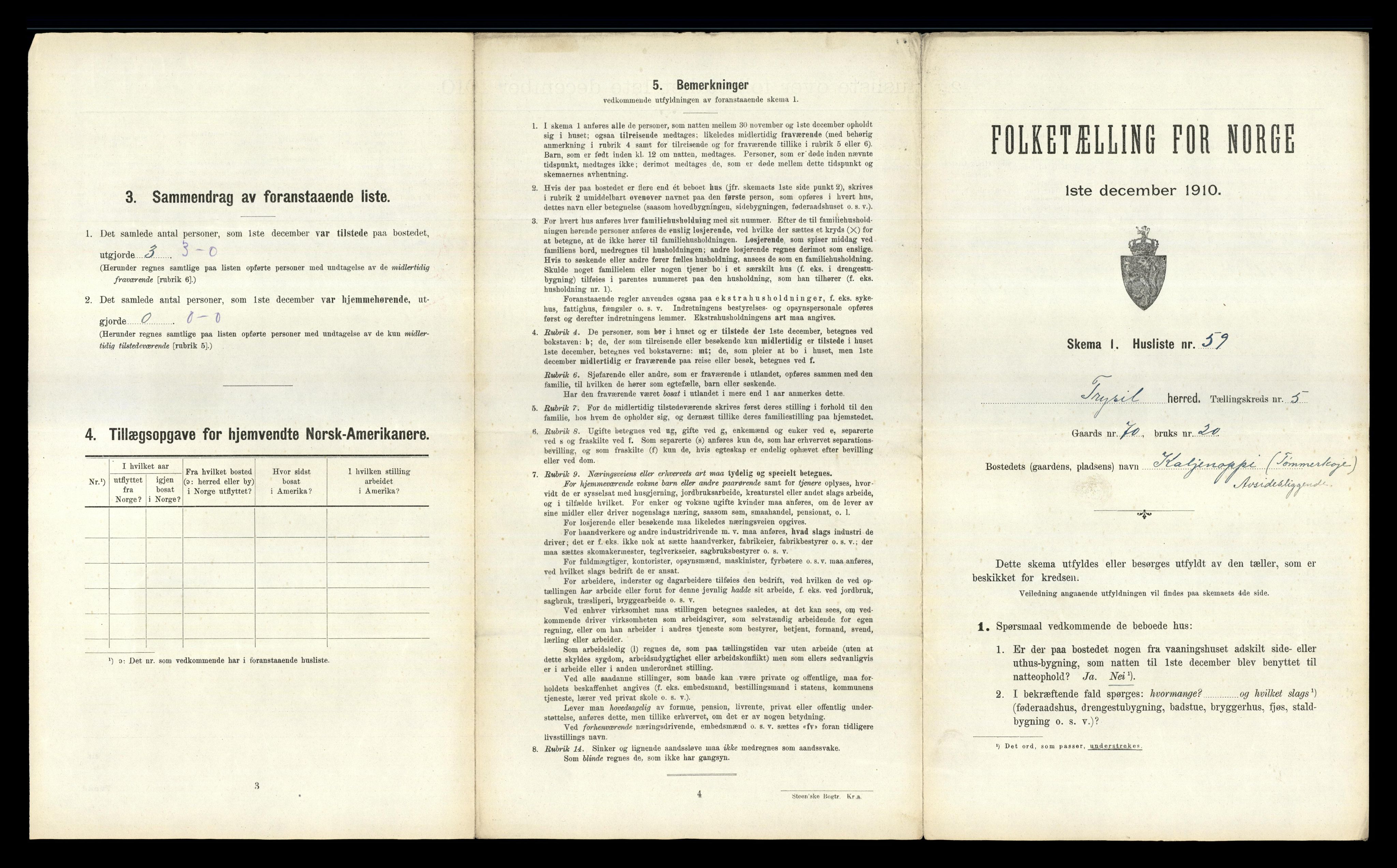 RA, 1910 census for Trysil, 1910, p. 645