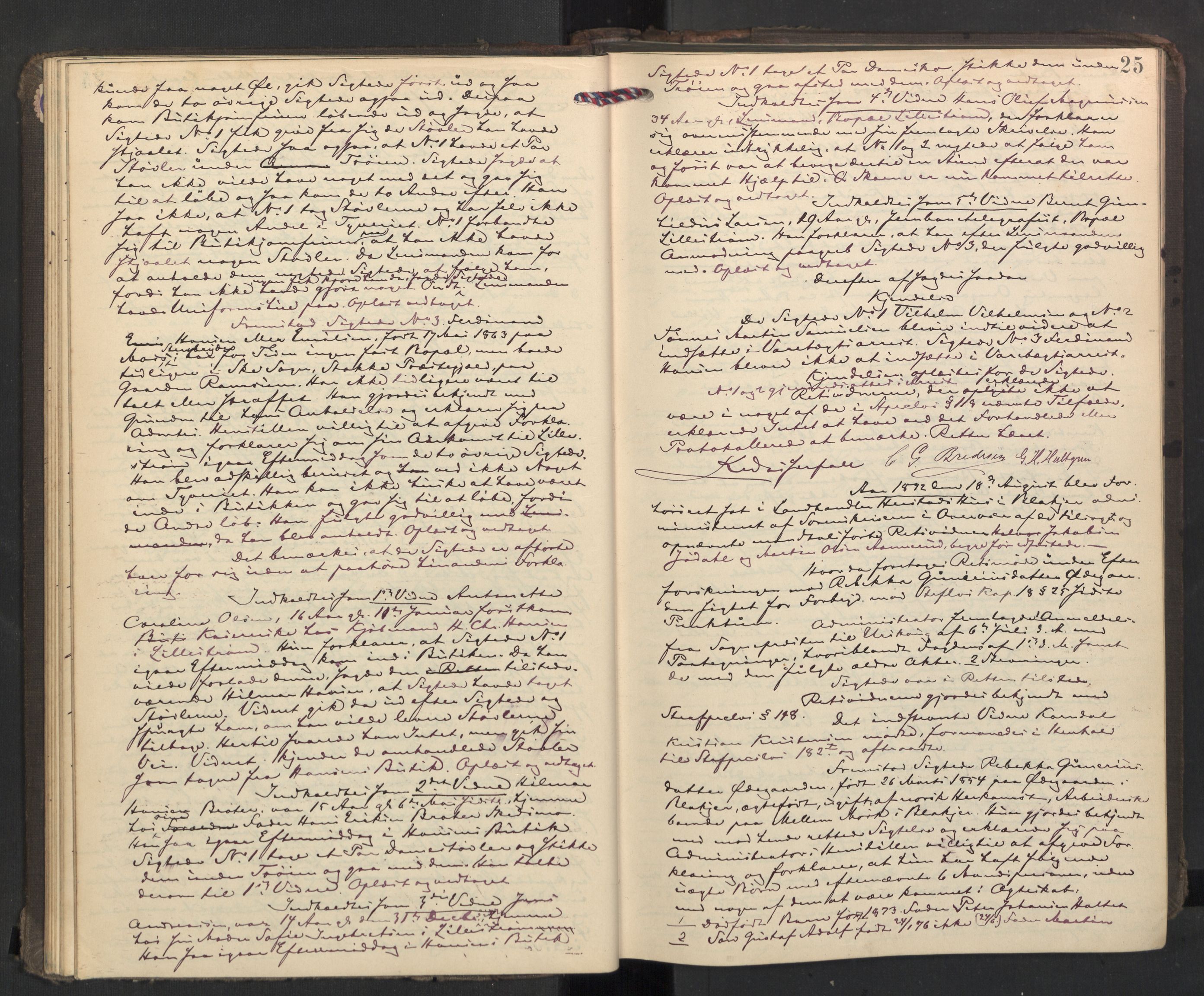 Nedre Romerike sorenskriveri, AV/SAO-A-10469/F/Fc/L0038: Ekstrarettsprotokoll, 1892-1896, p. 24b-25a