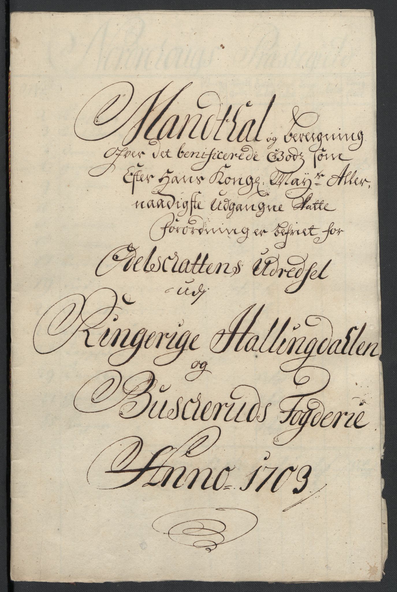 Rentekammeret inntil 1814, Reviderte regnskaper, Fogderegnskap, RA/EA-4092/R22/L1461: Fogderegnskap Ringerike, Hallingdal og Buskerud, 1703, p. 248
