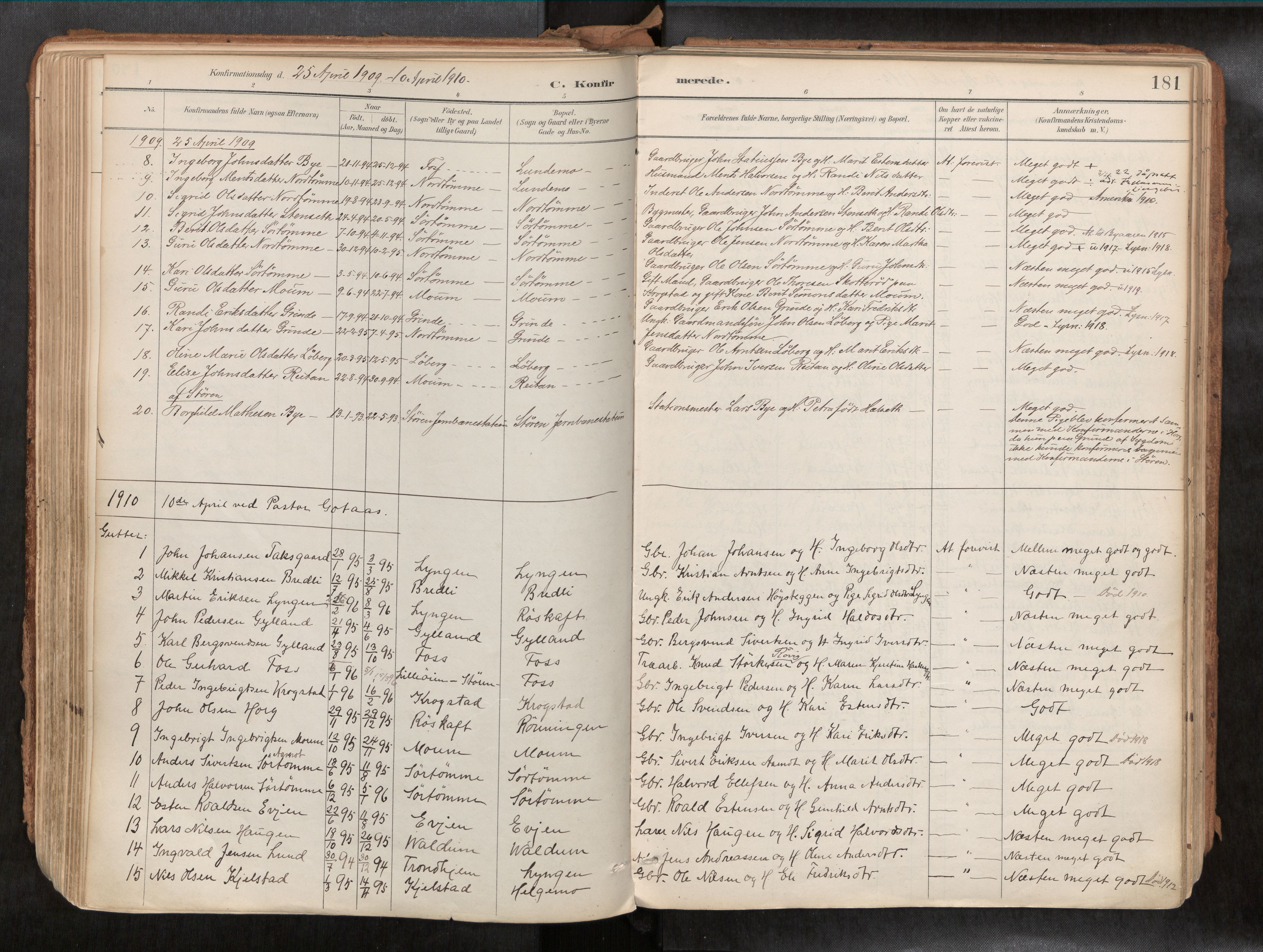 Ministerialprotokoller, klokkerbøker og fødselsregistre - Sør-Trøndelag, SAT/A-1456/692/L1105b: Parish register (official) no. 692A06, 1891-1934, p. 181
