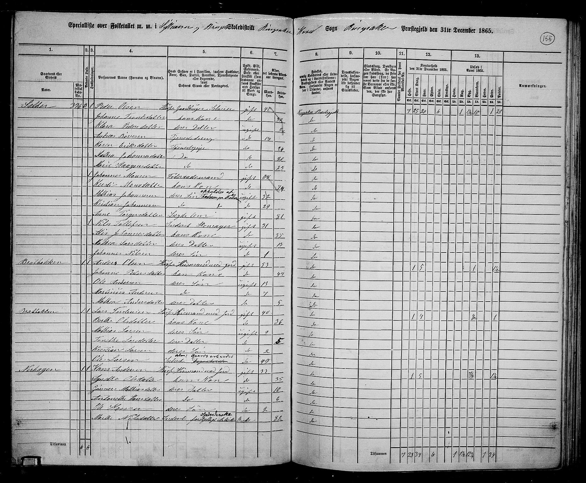 RA, 1865 census for Ringsaker, 1865, p. 399