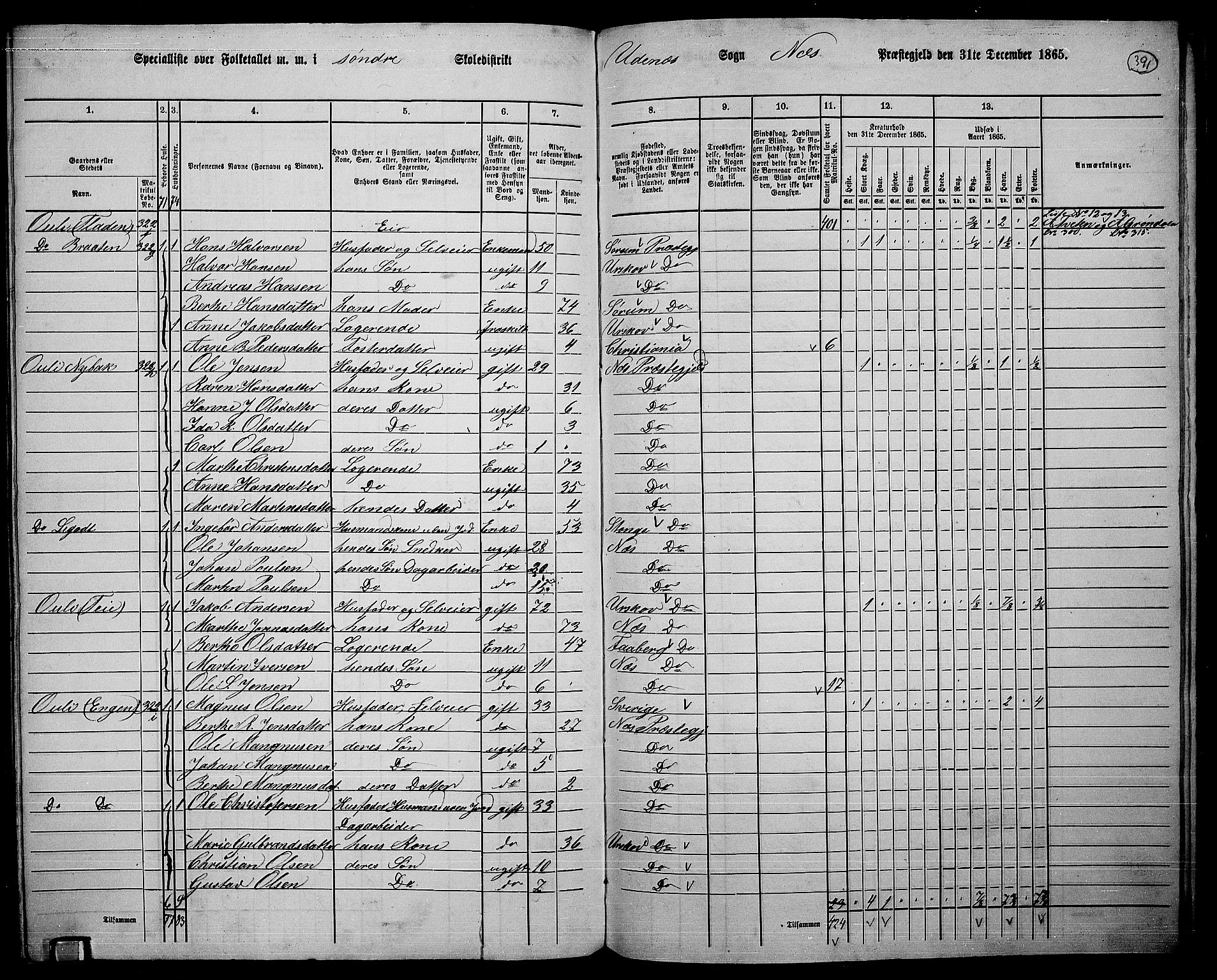 RA, 1865 census for Nes, 1865, p. 357