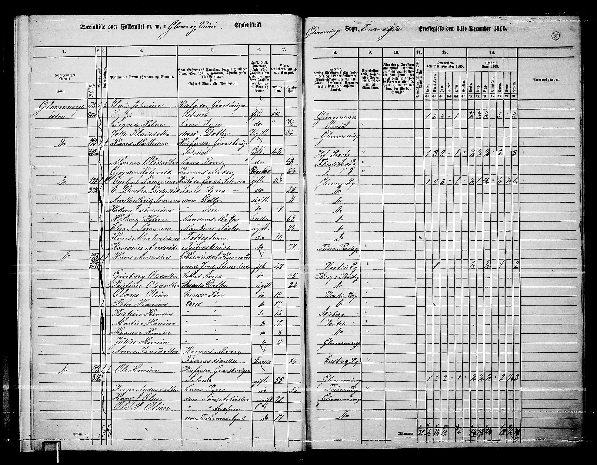 RA, 1865 census for Fredrikstad/Glemmen, 1865, p. 10