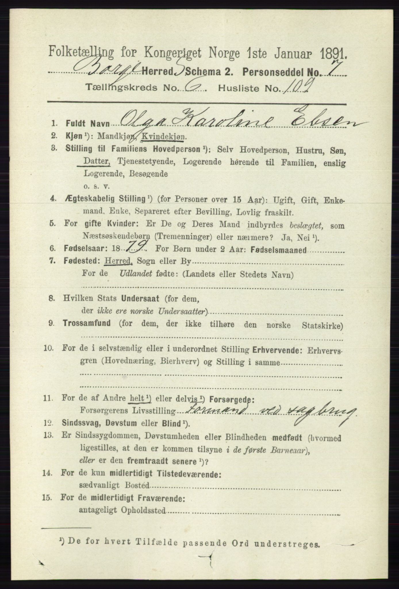 RA, 1891 census for 0113 Borge, 1891, p. 3879