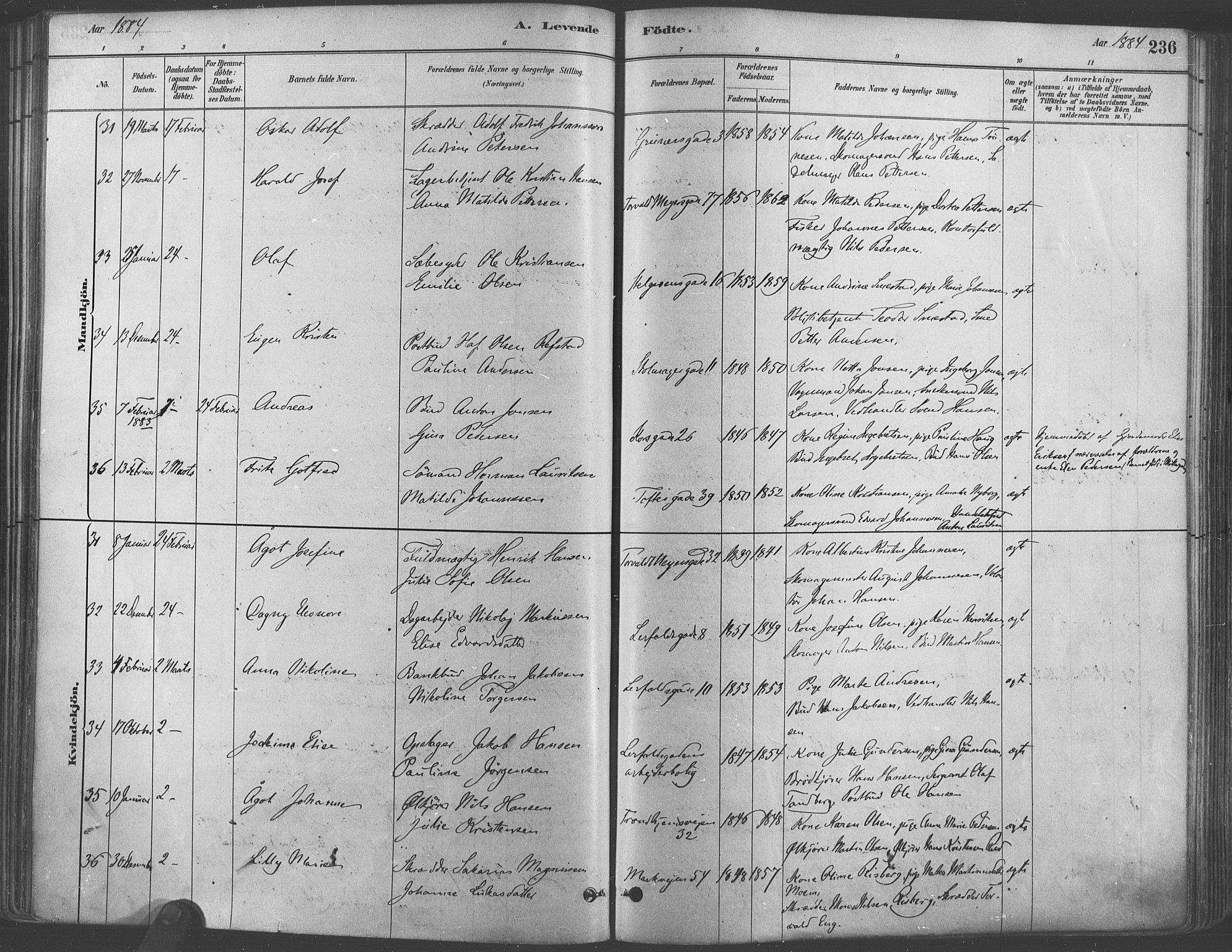 Paulus prestekontor Kirkebøker, AV/SAO-A-10871/F/Fa/L0003: Parish register (official) no. 3, 1879-1887, p. 236