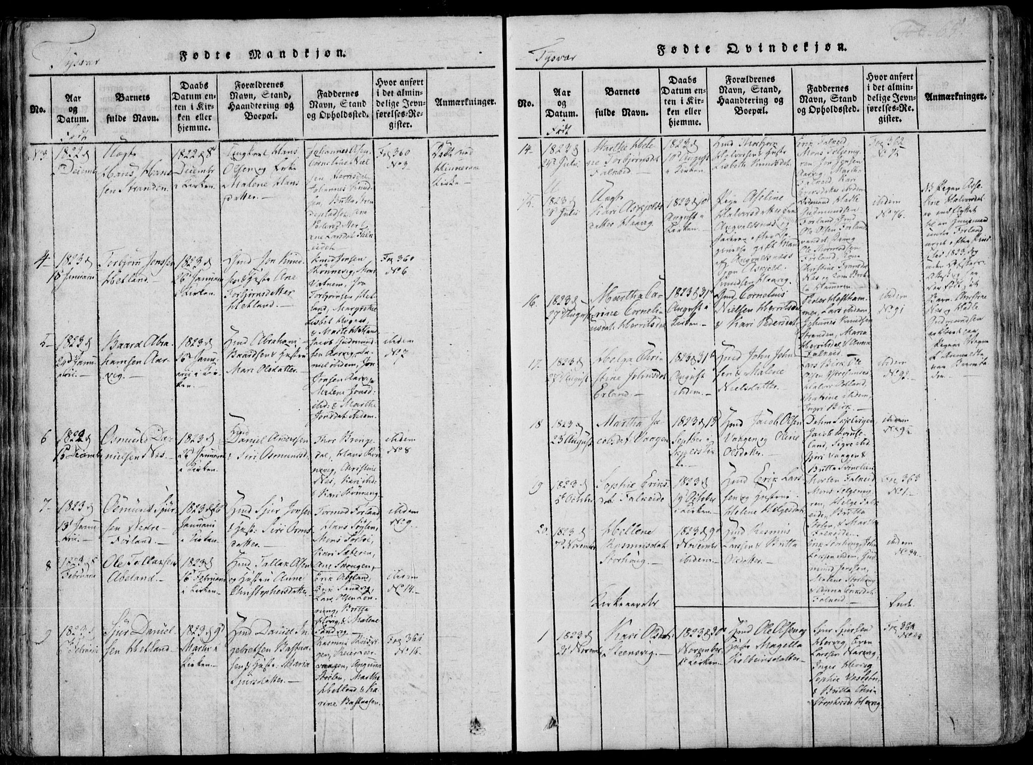 Skjold sokneprestkontor, SAST/A-101847/H/Ha/Haa/L0004: Parish register (official) no. A 4 /1, 1815-1830, p. 65