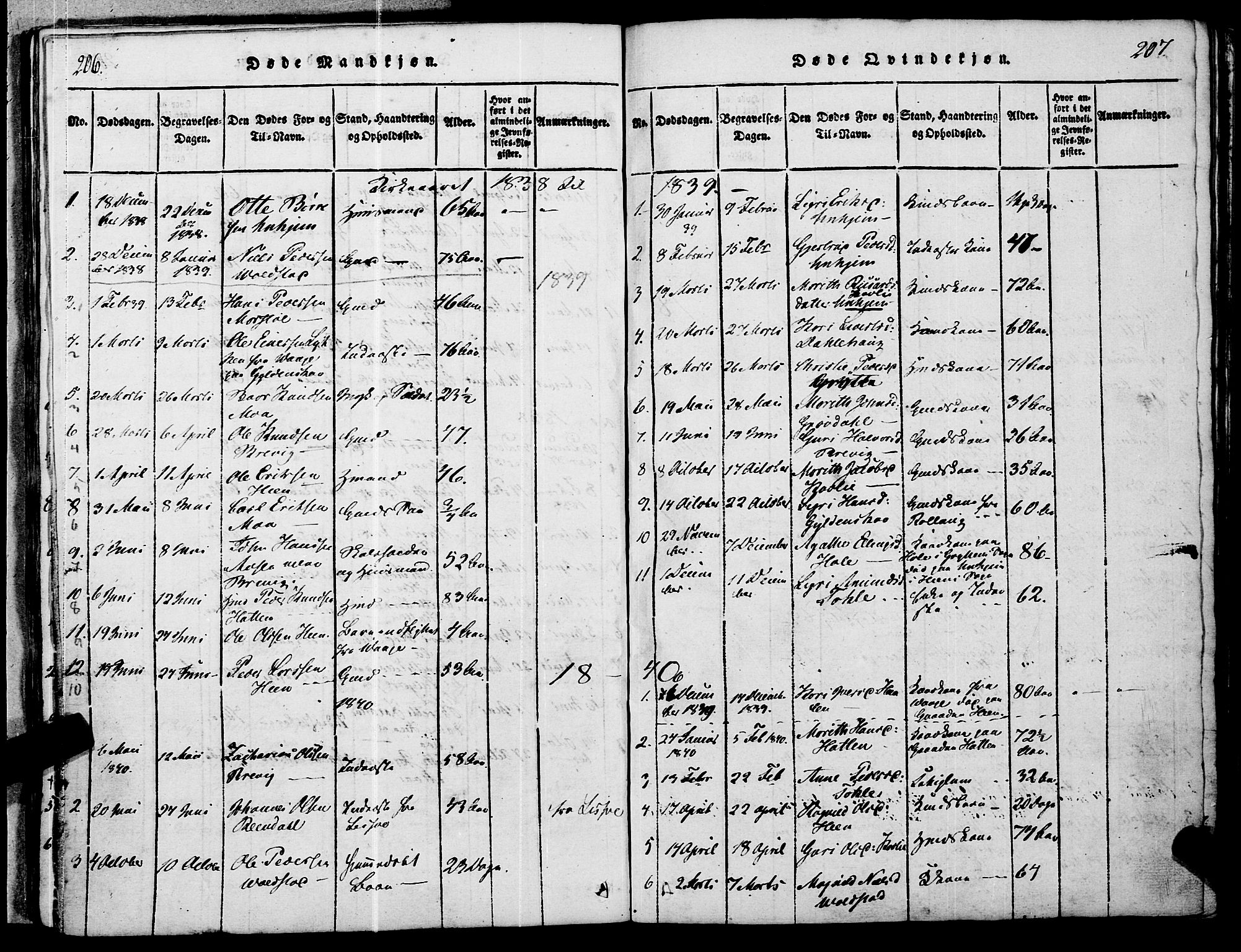 Ministerialprotokoller, klokkerbøker og fødselsregistre - Møre og Romsdal, SAT/A-1454/545/L0585: Parish register (official) no. 545A01, 1818-1853, p. 206-207