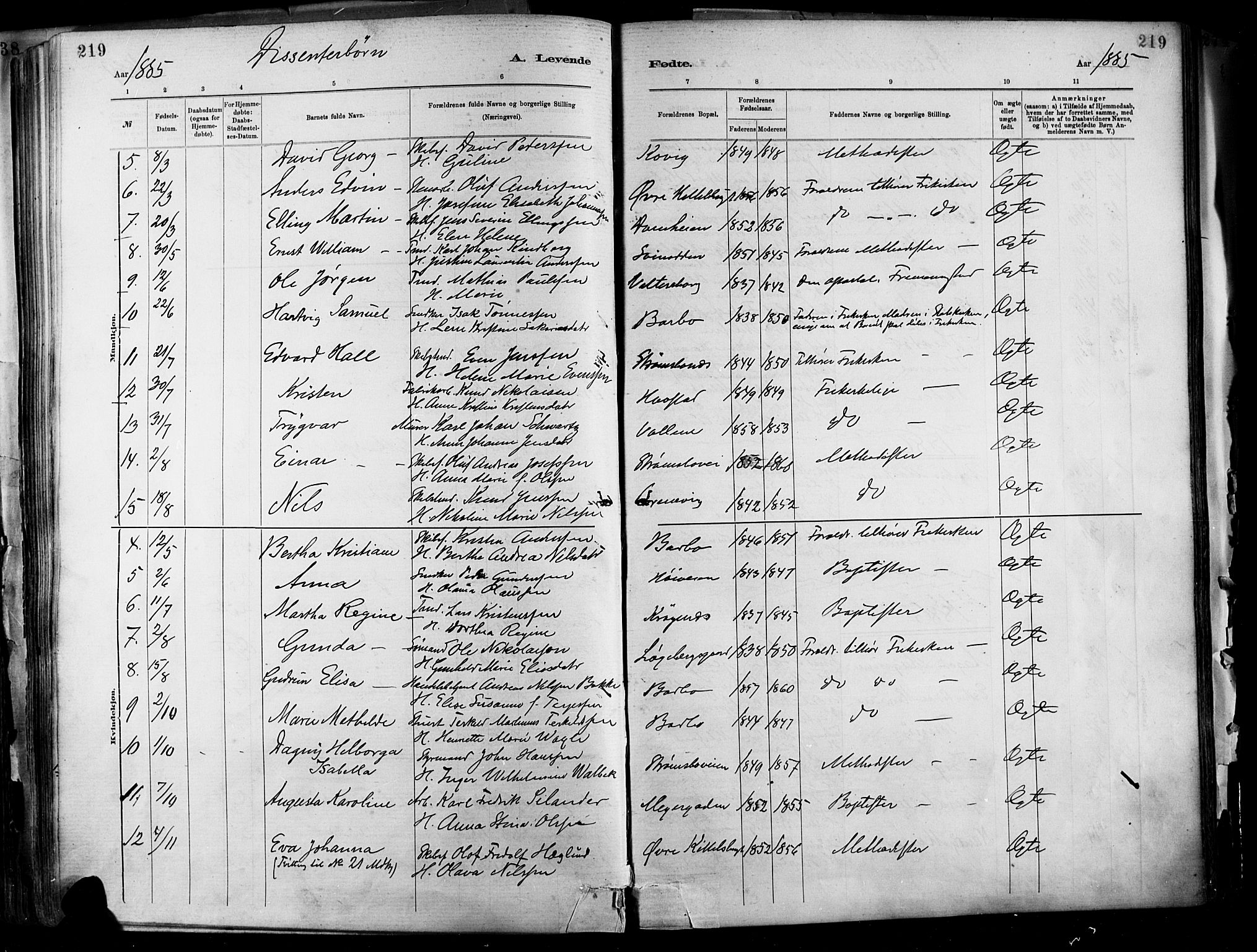 Barbu sokneprestkontor, SAK/1111-0003/F/Fa/L0002: Parish register (official) no. A 2, 1883-1898, p. 219