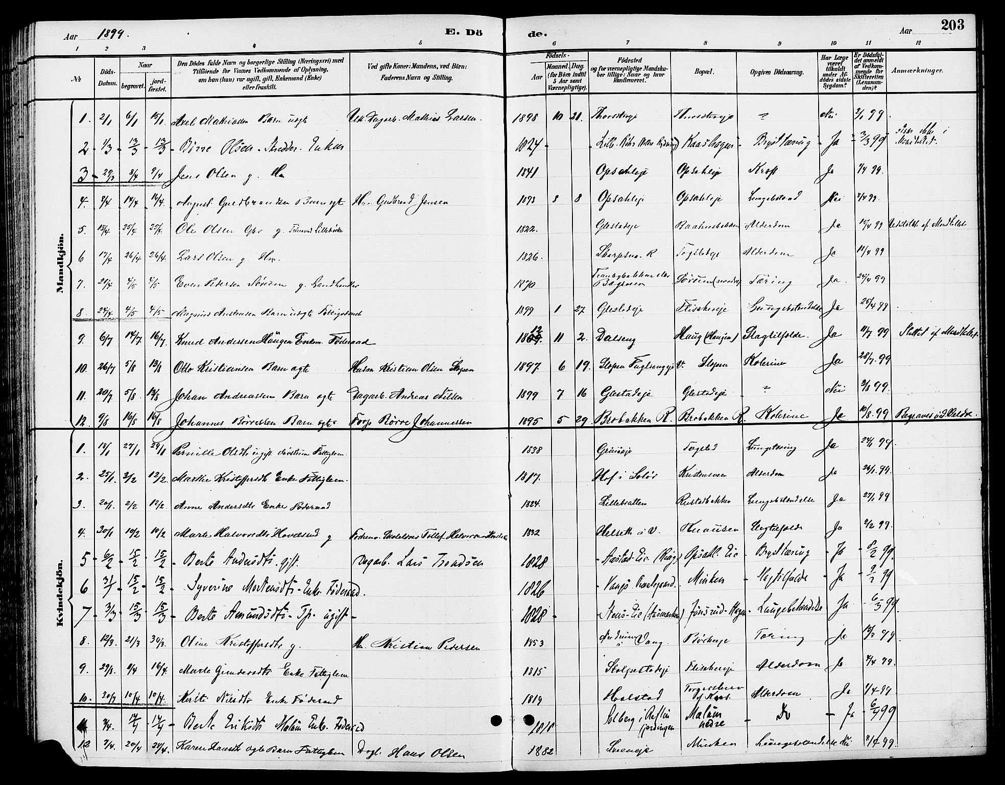 Ringsaker prestekontor, AV/SAH-PREST-014/L/La/L0014: Parish register (copy) no. 14, 1891-1904, p. 203
