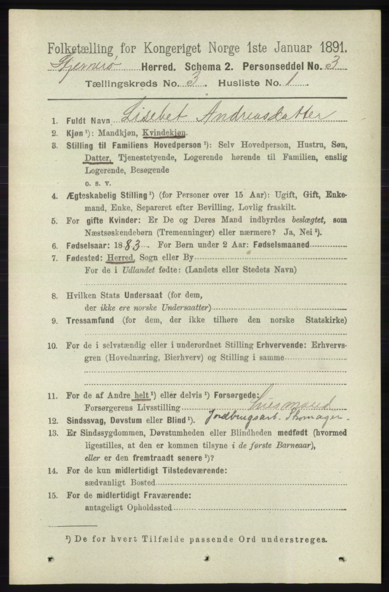 RA, 1891 census for 1140 Sjernarøy, 1891, p. 394