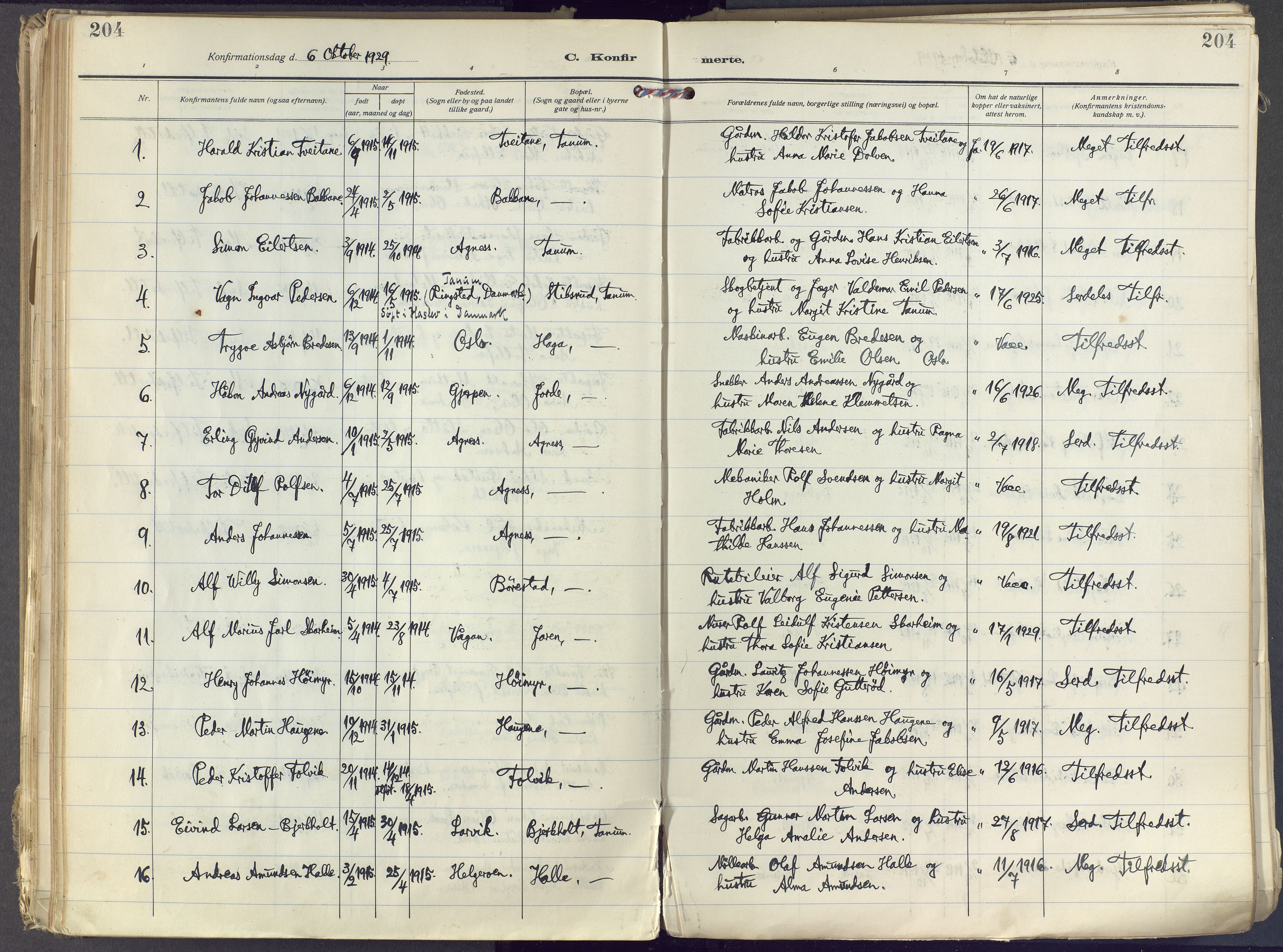 Brunlanes kirkebøker, SAKO/A-342/F/Fc/L0004: Parish register (official) no. III 4, 1923-1943, p. 204