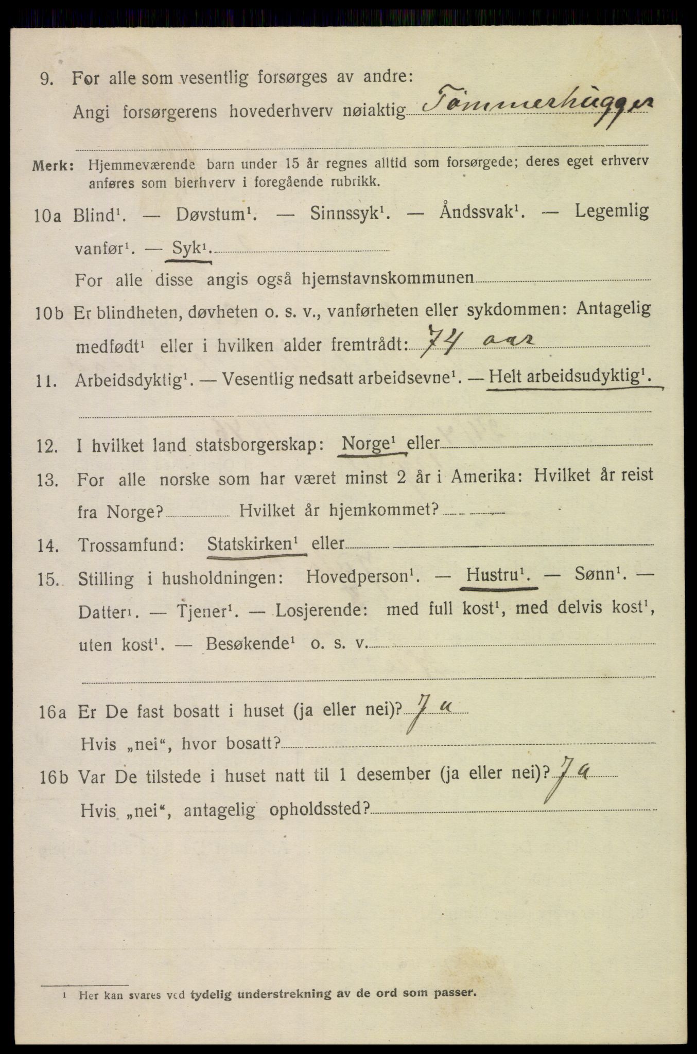 SAH, 1920 census for Trysil, 1920, p. 6514