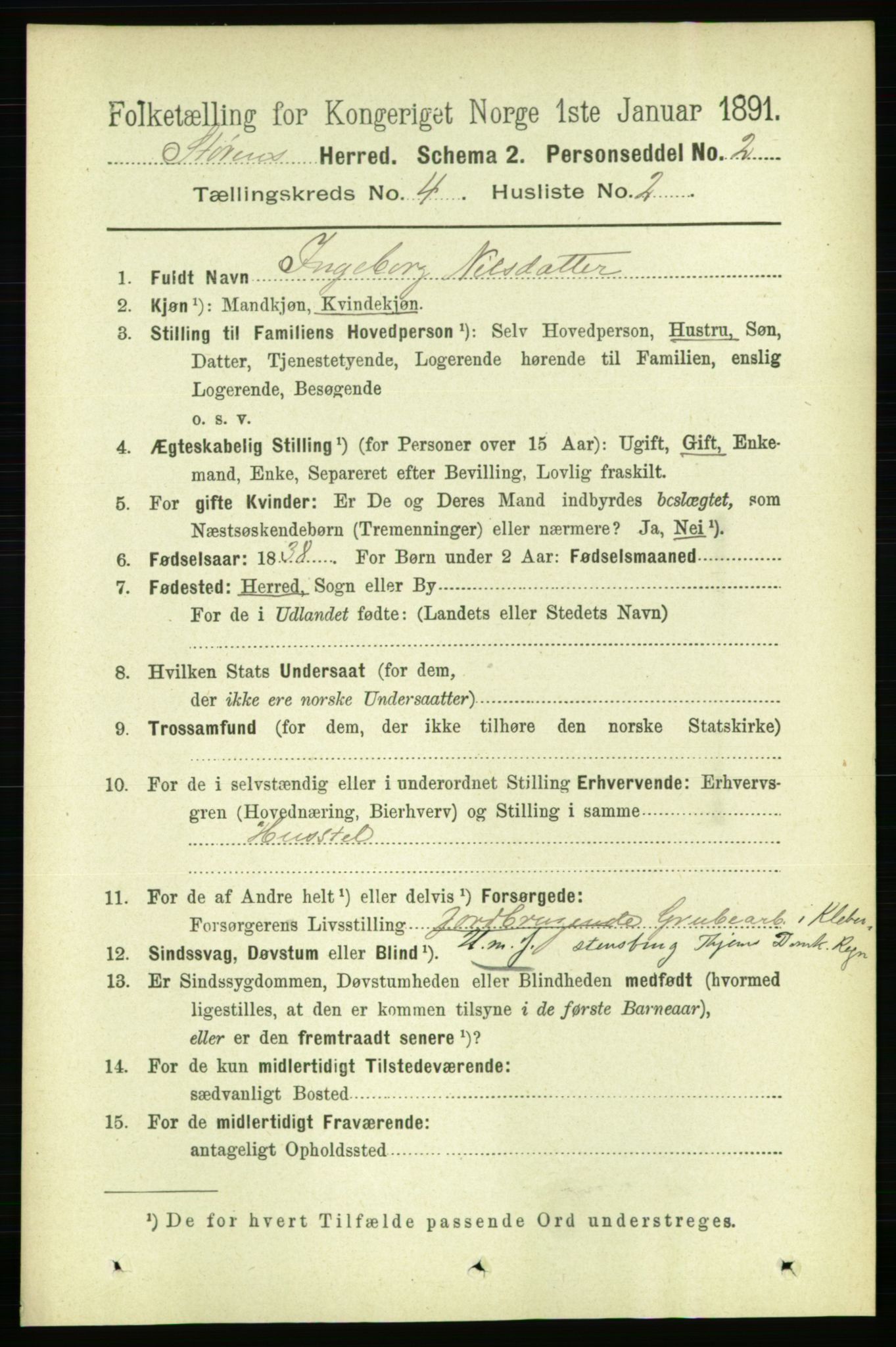 RA, 1891 census for 1648 Støren, 1891, p. 1299