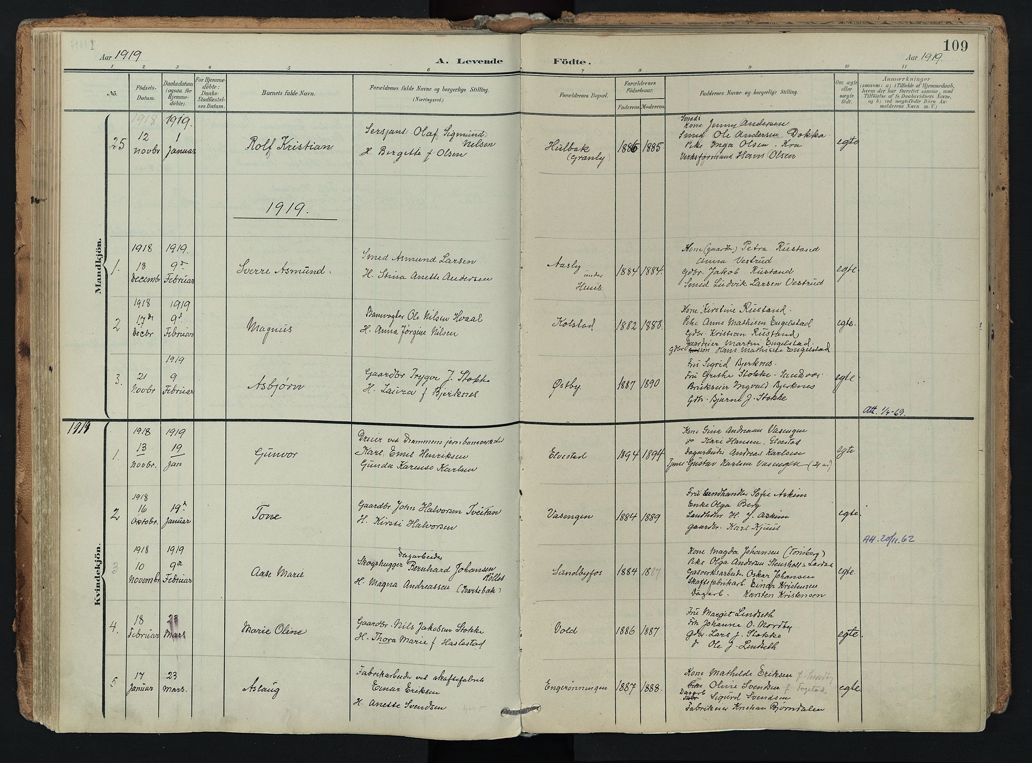 Hof kirkebøker, SAKO/A-64/F/Fa/L0008: Parish register (official) no. I 8, 1902-1921, p. 109