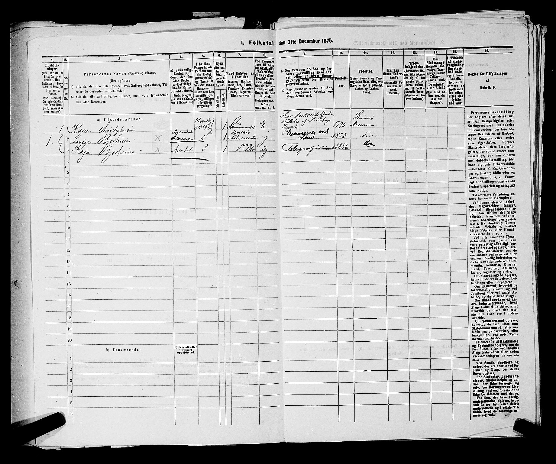 SAKO, 1875 census for 0602 Drammen, 1875, p. 2554