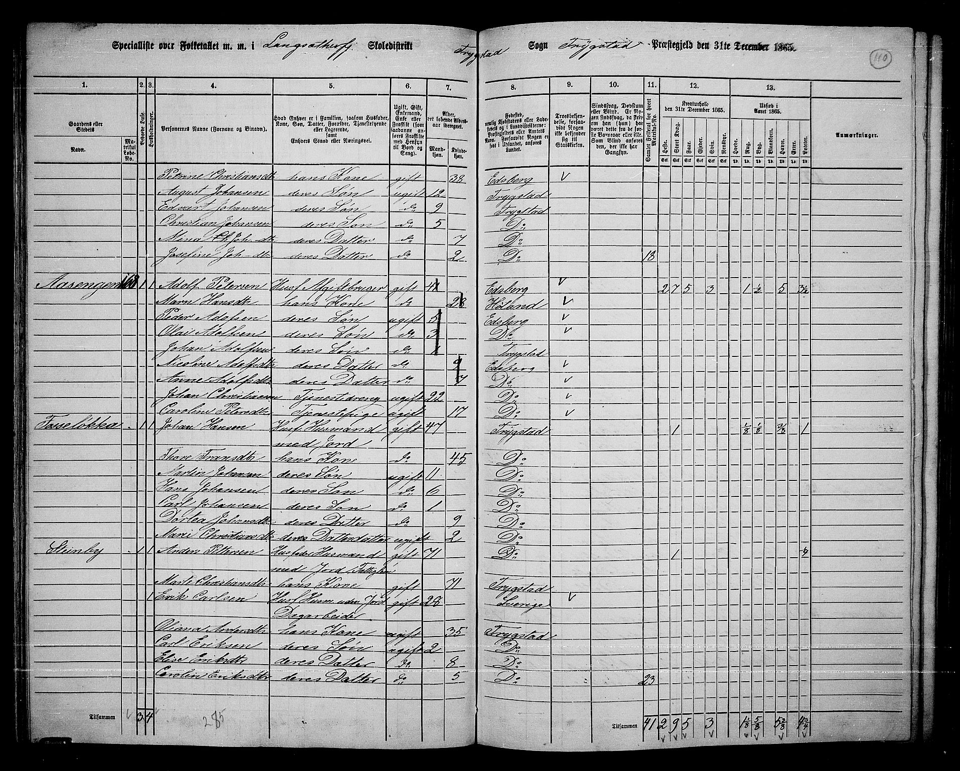 RA, 1865 census for Trøgstad, 1865, p. 94