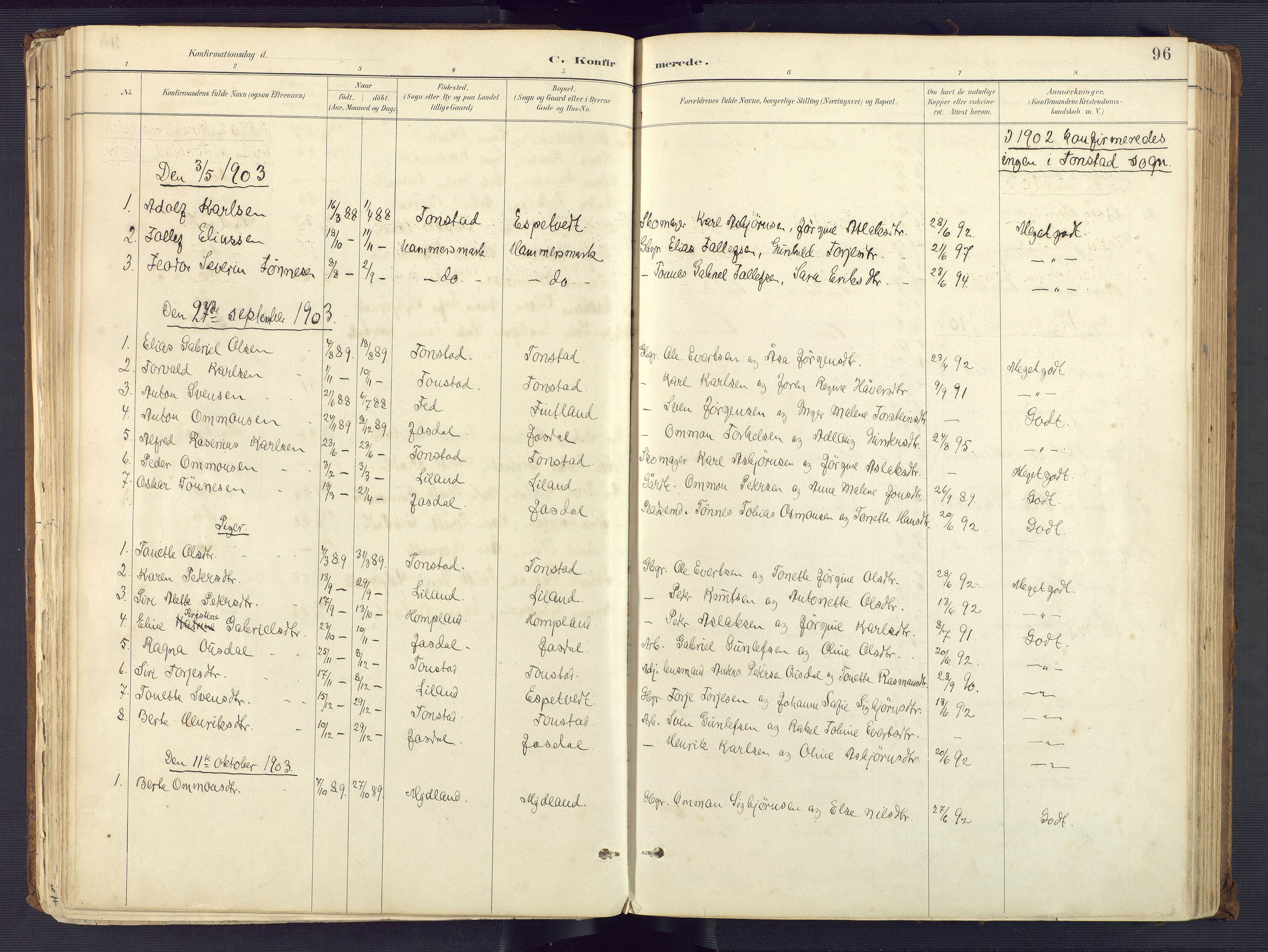 Sirdal sokneprestkontor, SAK/1111-0036/F/Fa/Fab/L0004: Parish register (official) no. A 4, 1887-1919, p. 96