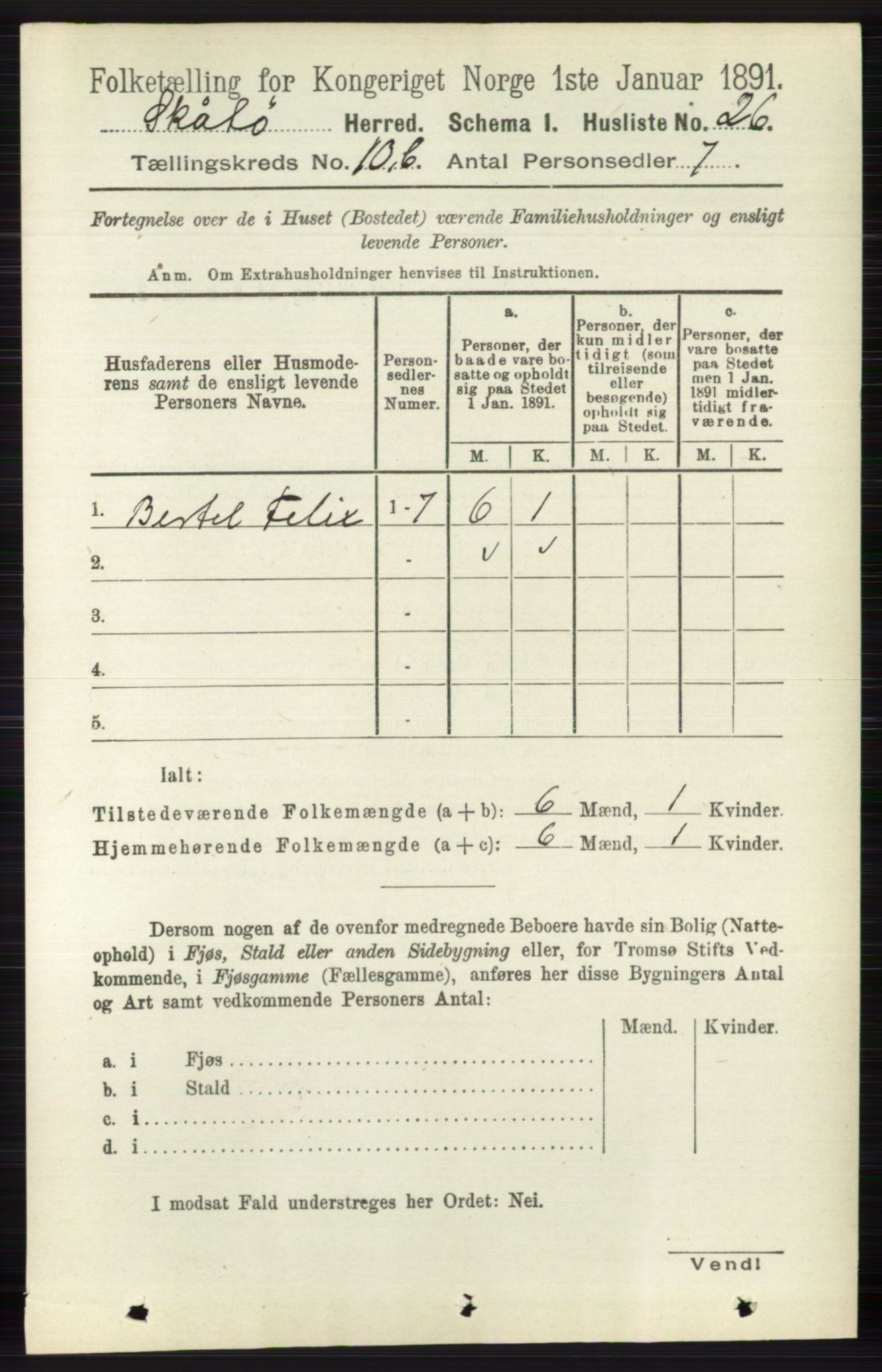 RA, 1891 census for 0815 Skåtøy, 1891, p. 4132