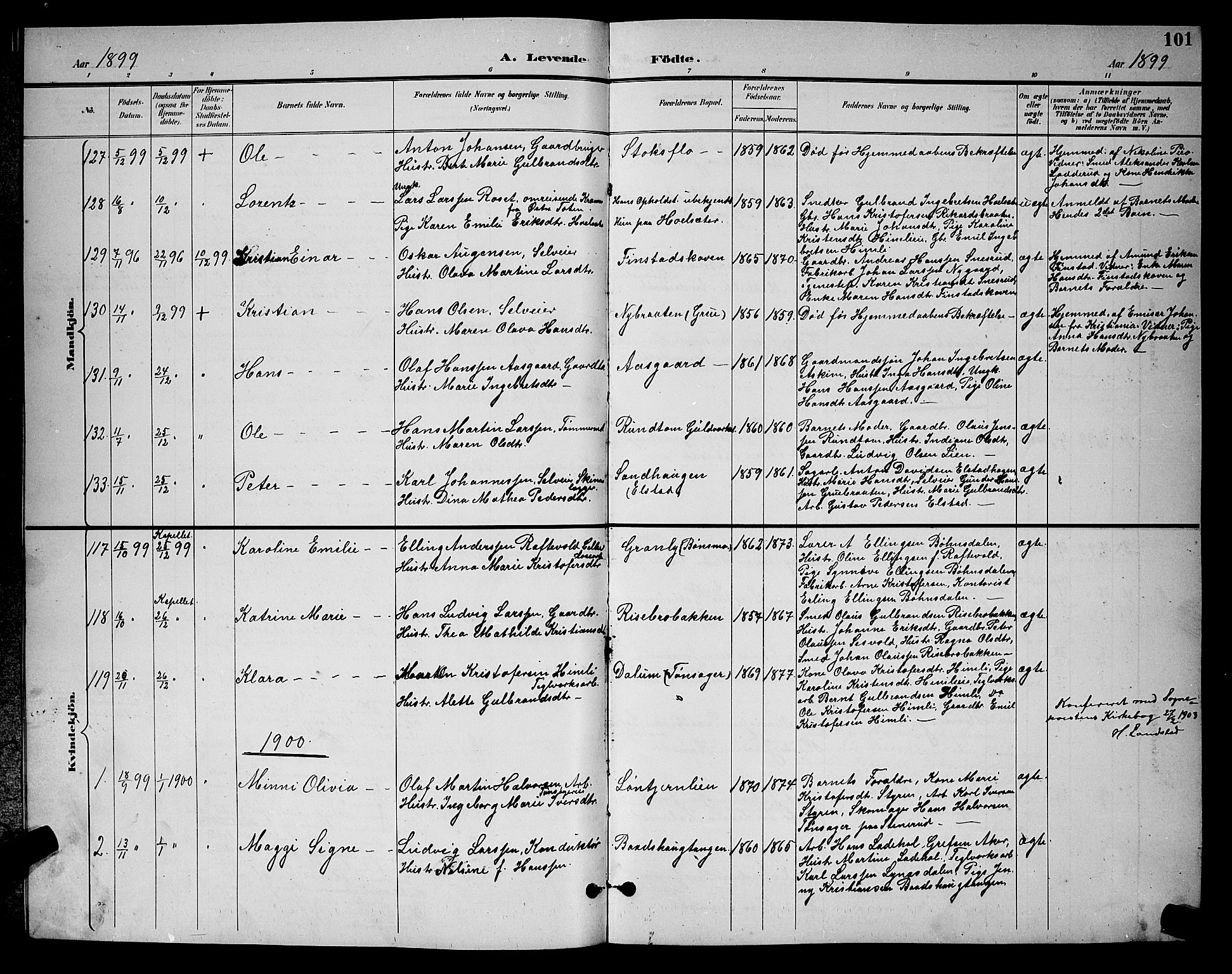 Eidsvoll prestekontor Kirkebøker, AV/SAO-A-10888/G/Ga/L0006: Parish register (copy) no. I 6, 1895-1901, p. 101