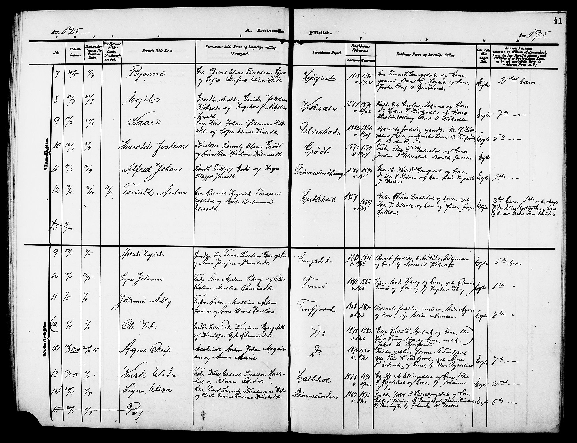 Ministerialprotokoller, klokkerbøker og fødselsregistre - Møre og Romsdal, AV/SAT-A-1454/525/L0377: Parish register (copy) no. 525C03, 1903-1917, p. 41