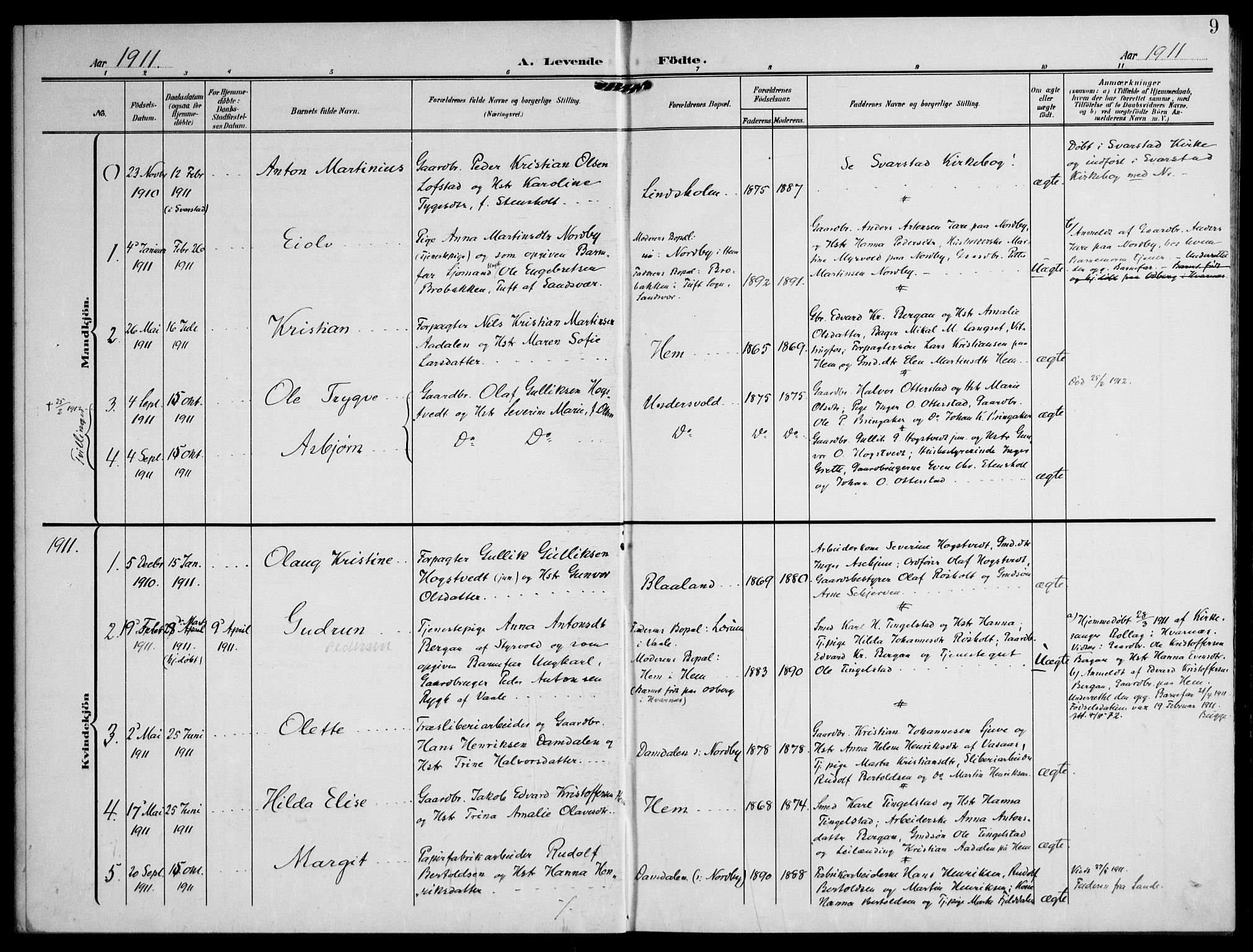 Lardal kirkebøker, AV/SAKO-A-350/F/Fc/L0002: Parish register (official) no. III 2, 1907-1921, p. 9