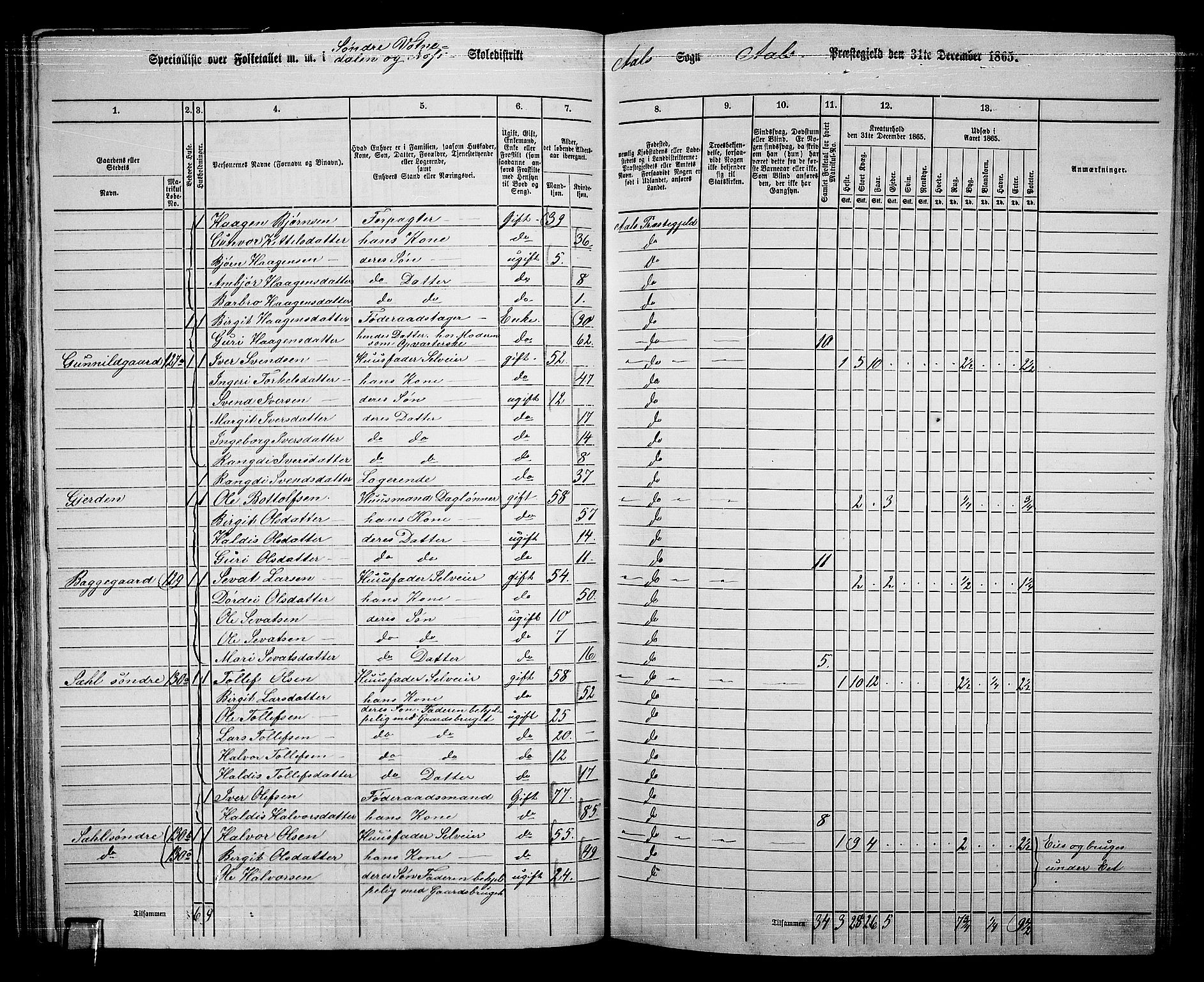 RA, 1865 census for Ål, 1865, p. 78