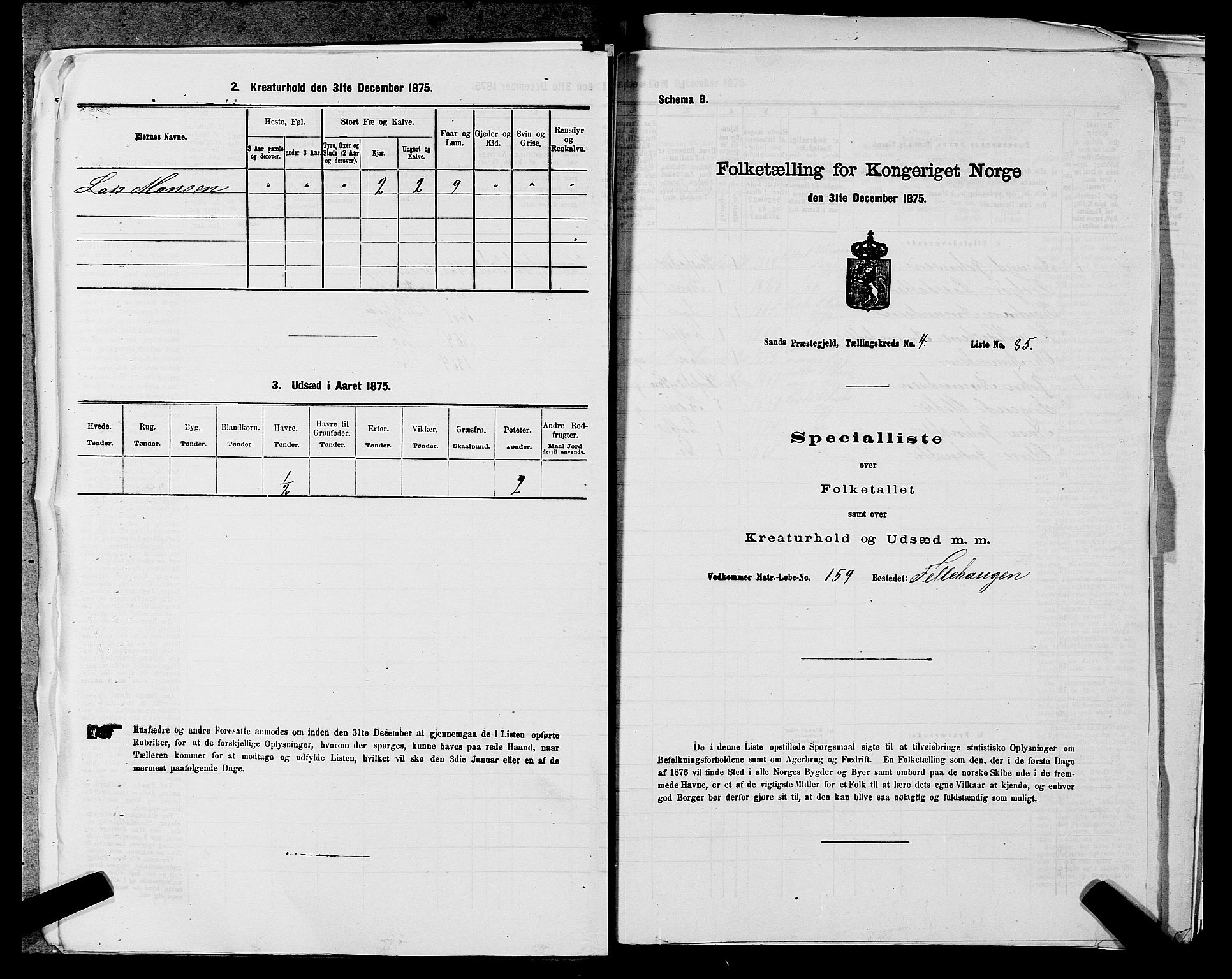 SAST, 1875 census for 1136P Sand, 1875, p. 1429