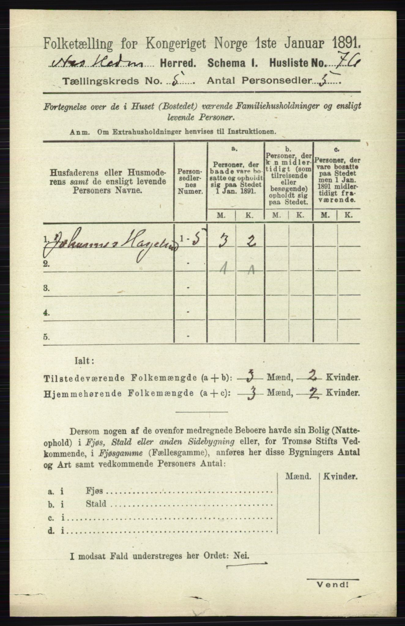 RA, 1891 census for 0411 Nes, 1891, p. 2596