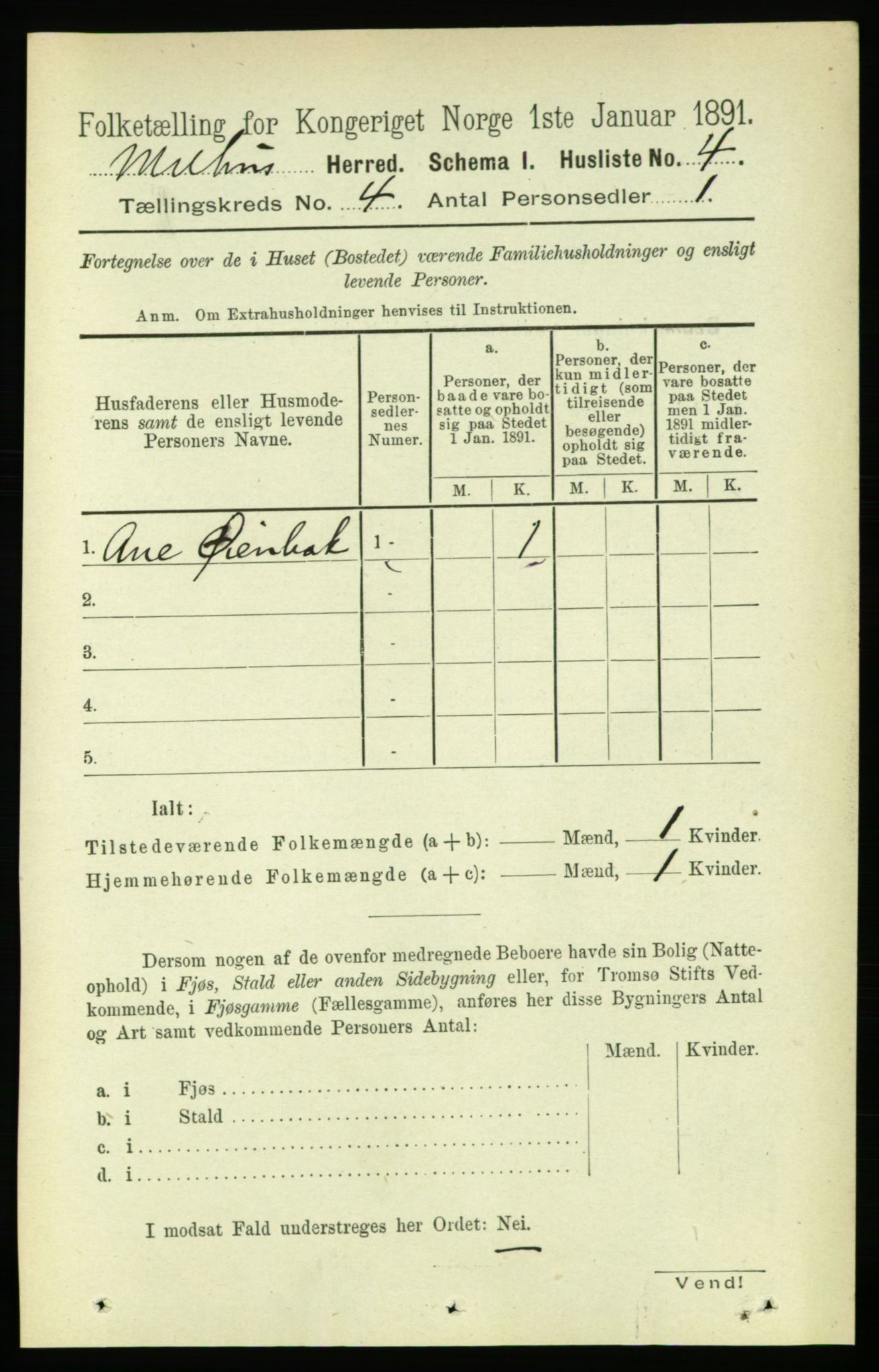 RA, 1891 census for 1653 Melhus, 1891, p. 1905